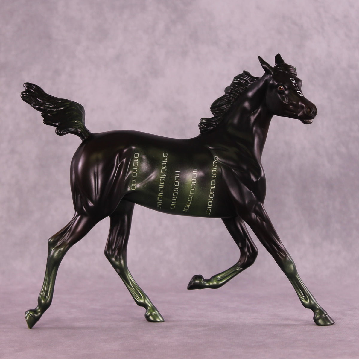 @Code4Lyfe LE-10 FCM Arabian Yearling by Anna Rieck MM25
