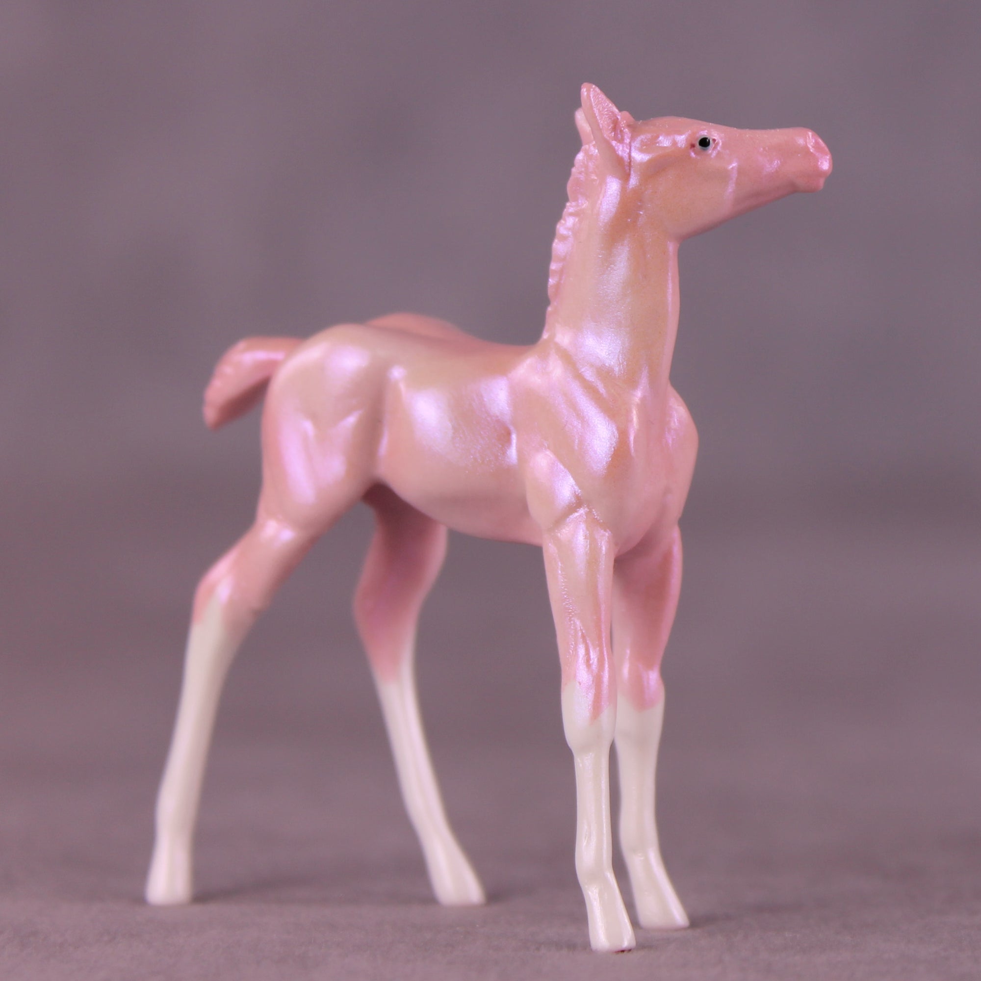 Red Bottoms LE-5 Chip Foal by Erin Corbett SCD25