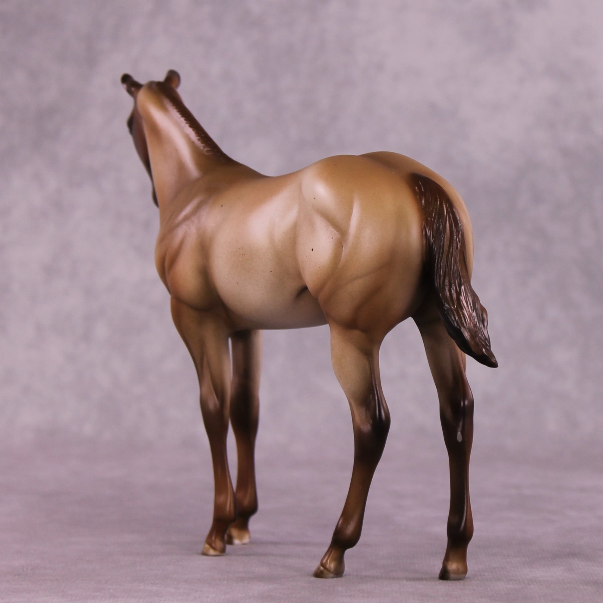 "Zia" OOAK Weanling by Julie Keim EQ25
