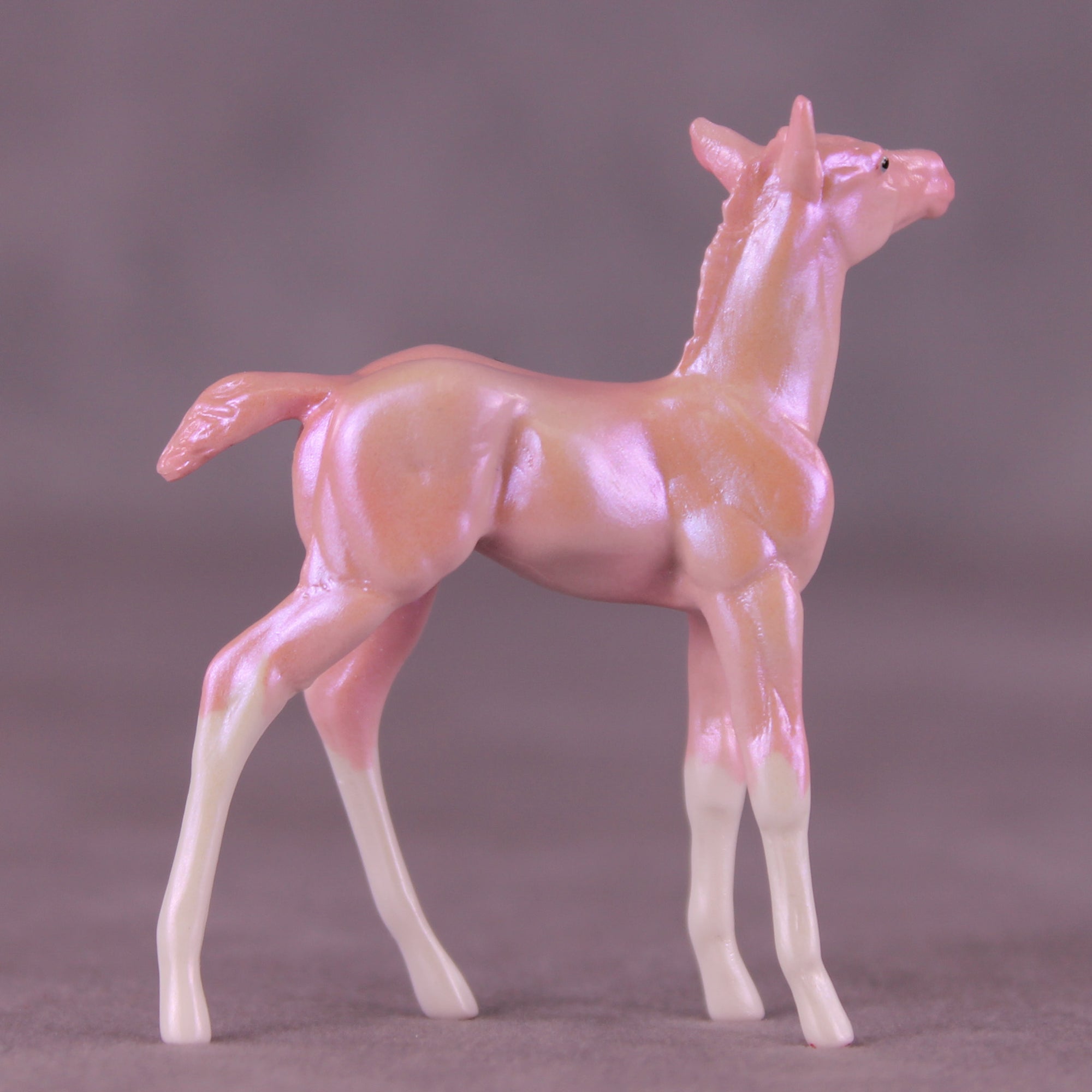 Red Bottoms LE-5 Chip Foal by Erin Corbett SCD25