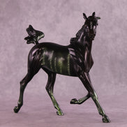 @Code4Lyfe LE-10 FCM Arabian Yearling by Anna Rieck MM25