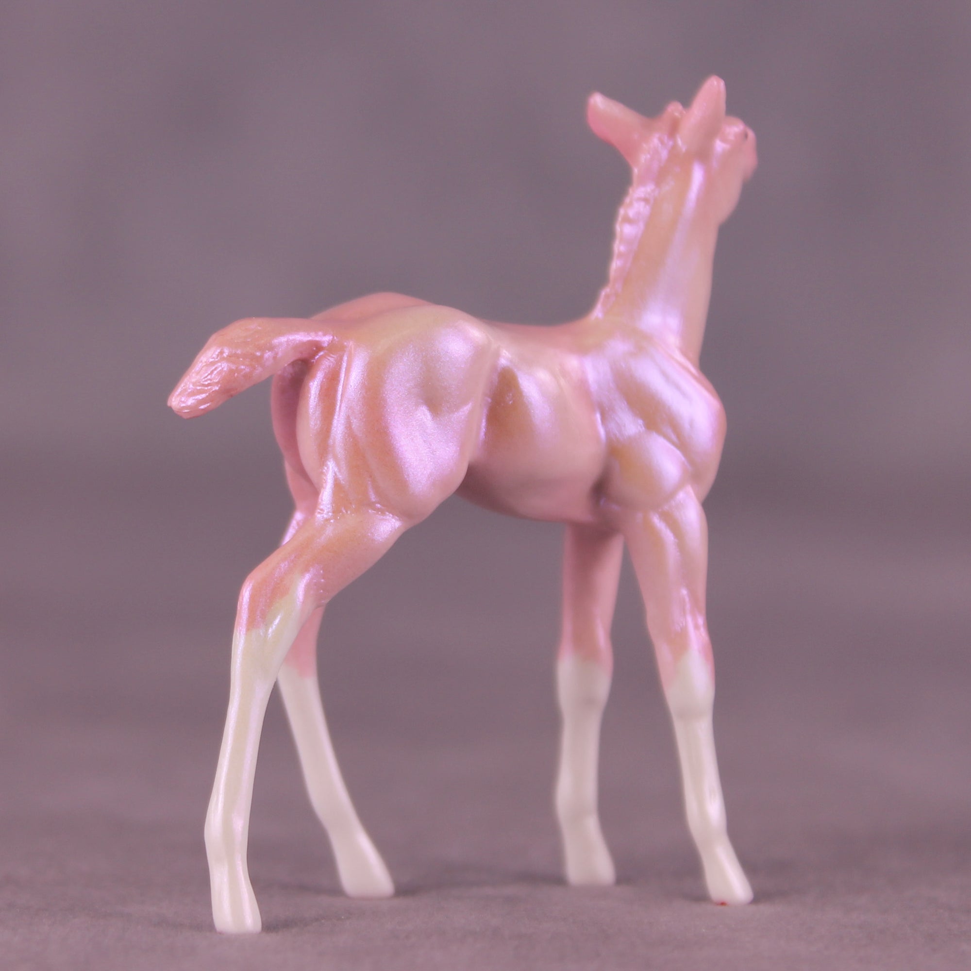 Red Bottoms LE-5 Chip Foal by Erin Corbett SCD25