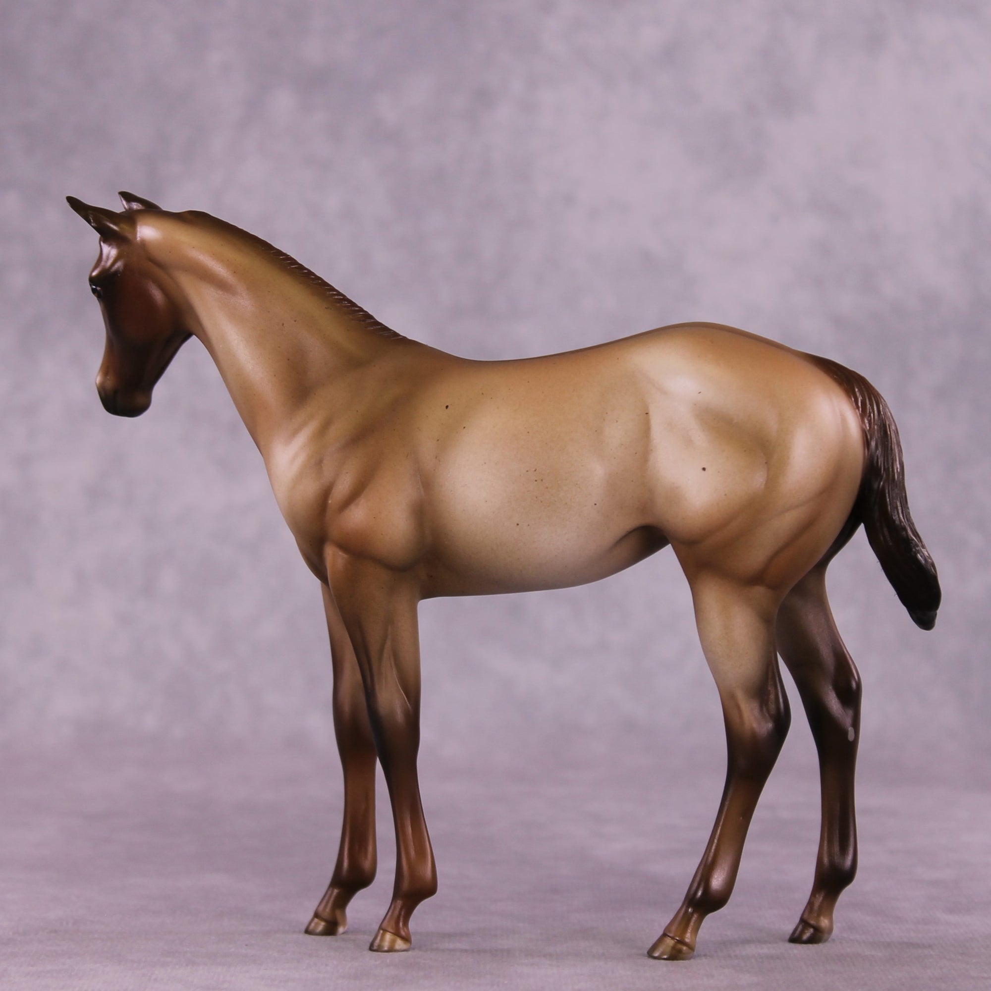 "Zia" OOAK Weanling by Julie Keim EQ25