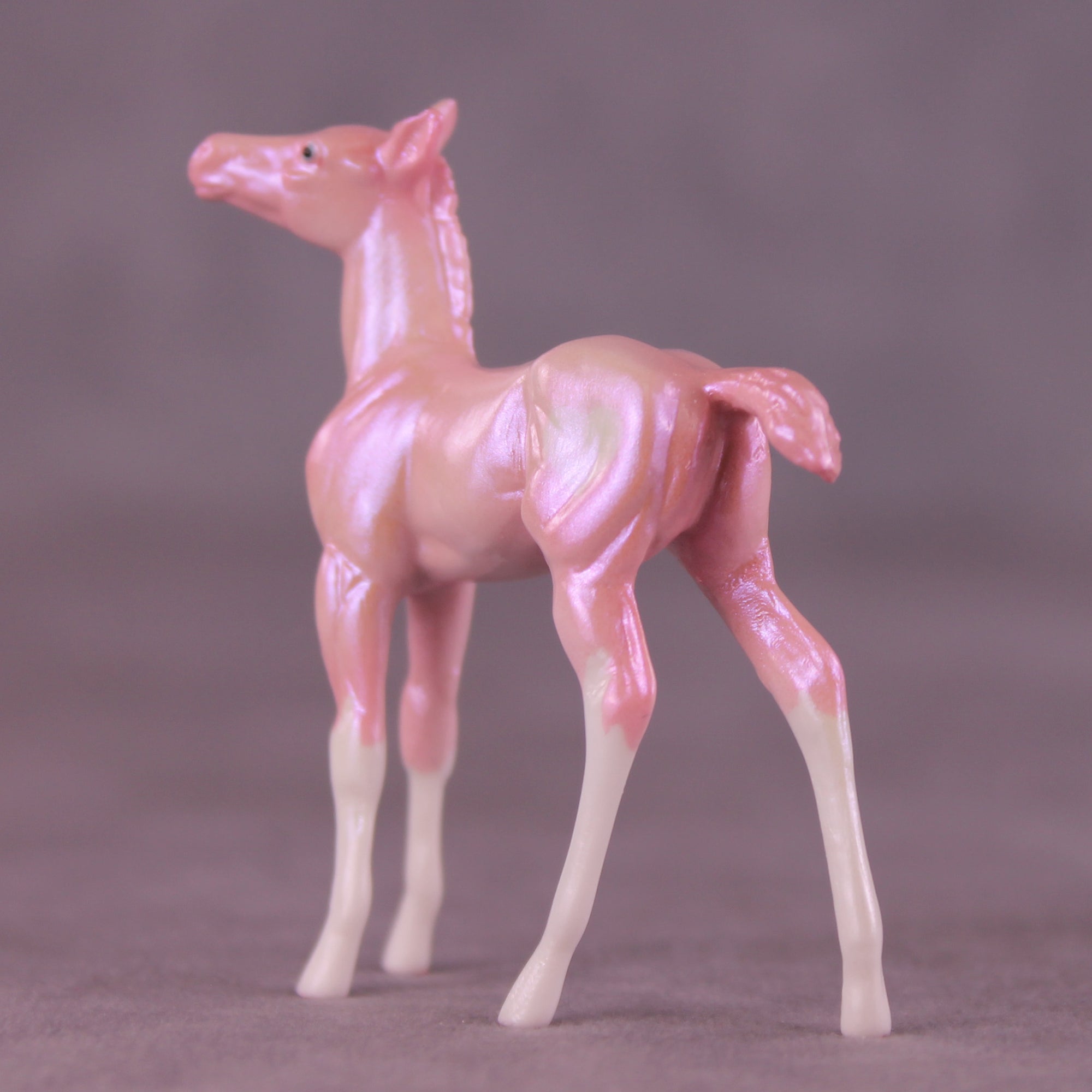 Red Bottoms LE-5 Chip Foal by Erin Corbett SCD25