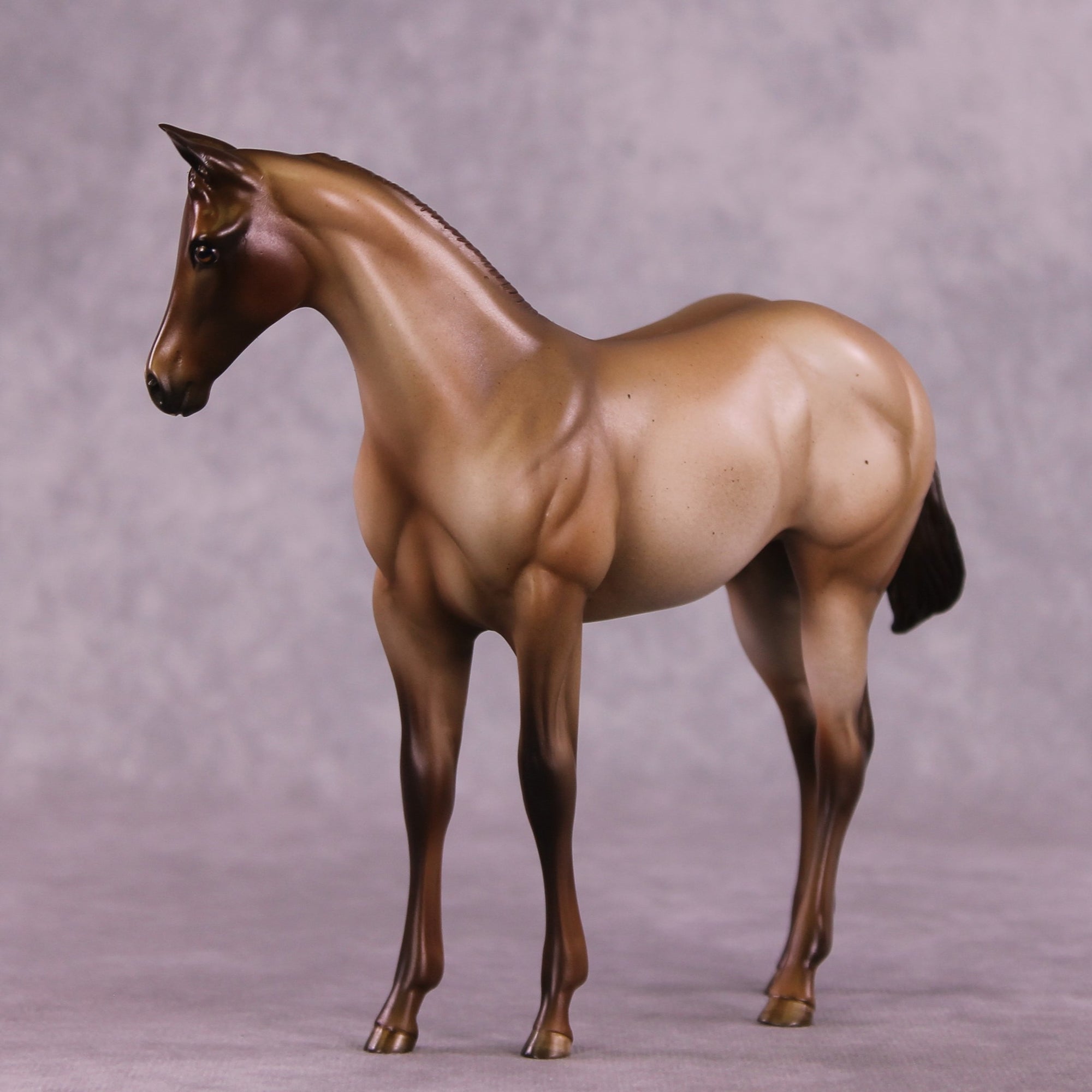 "Zia" OOAK Weanling by Julie Keim EQ25