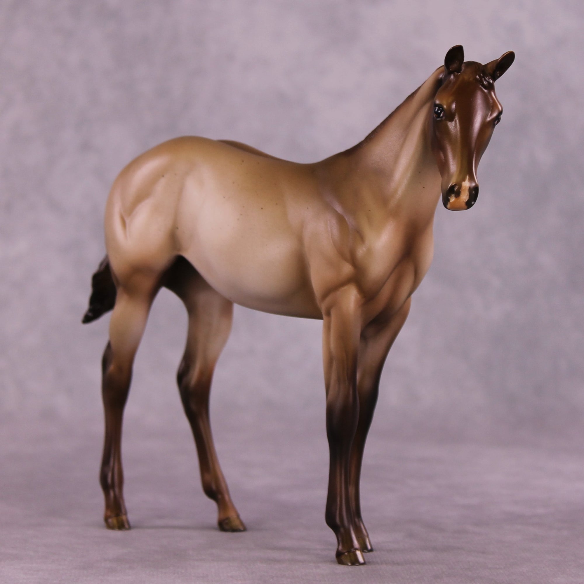 "Zia" OOAK Weanling by Julie Keim EQ25
