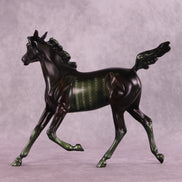 @Code4Lyfe LE-10 FCM Arabian Yearling by Anna Rieck MM25