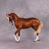 &quot;Grumpy Muffin&quot; OOAK FCM Thoroughbred By Kristen Cermele SHCF25 Best Offer 5/27/25