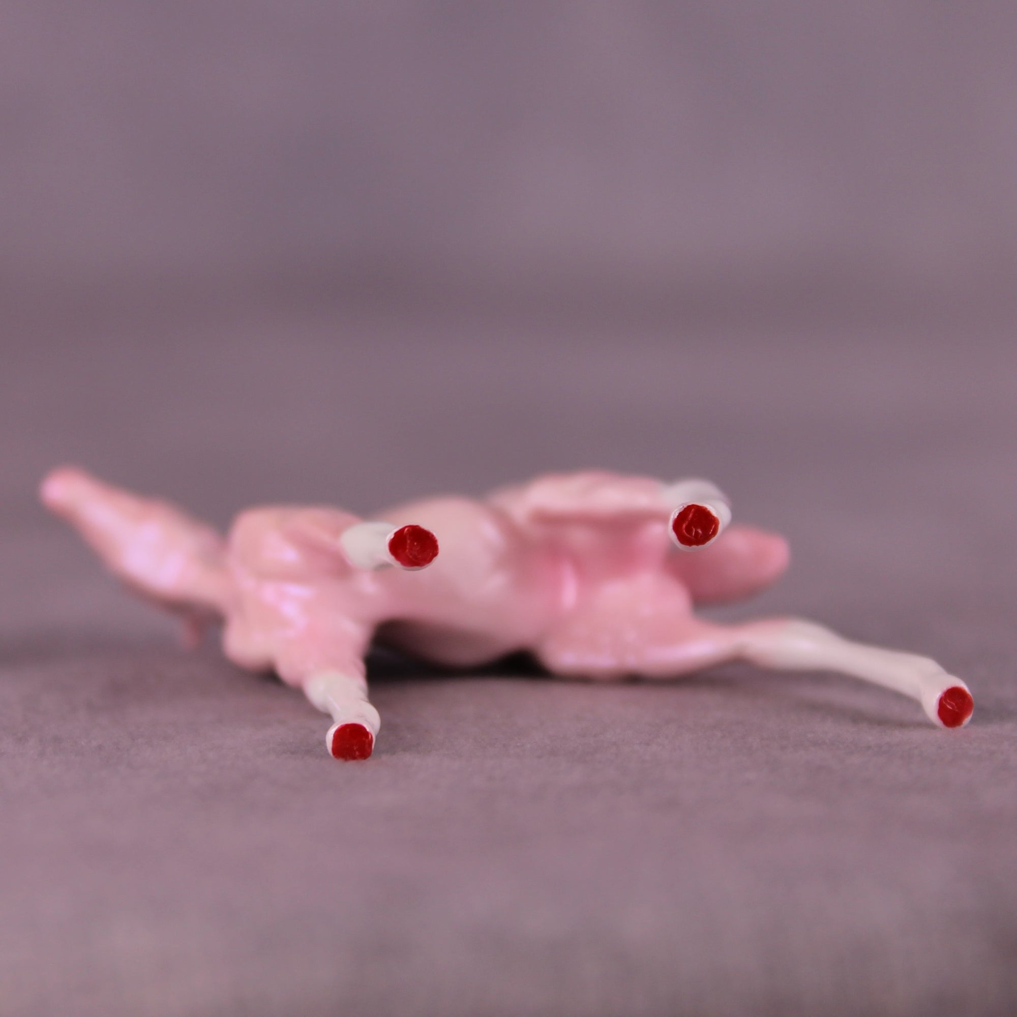 Red Bottoms LE-5 Chip Foal by Erin Corbett SCD25