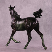 @Code4Lyfe LE-10 FCM Arabian Yearling by Anna Rieck MM25