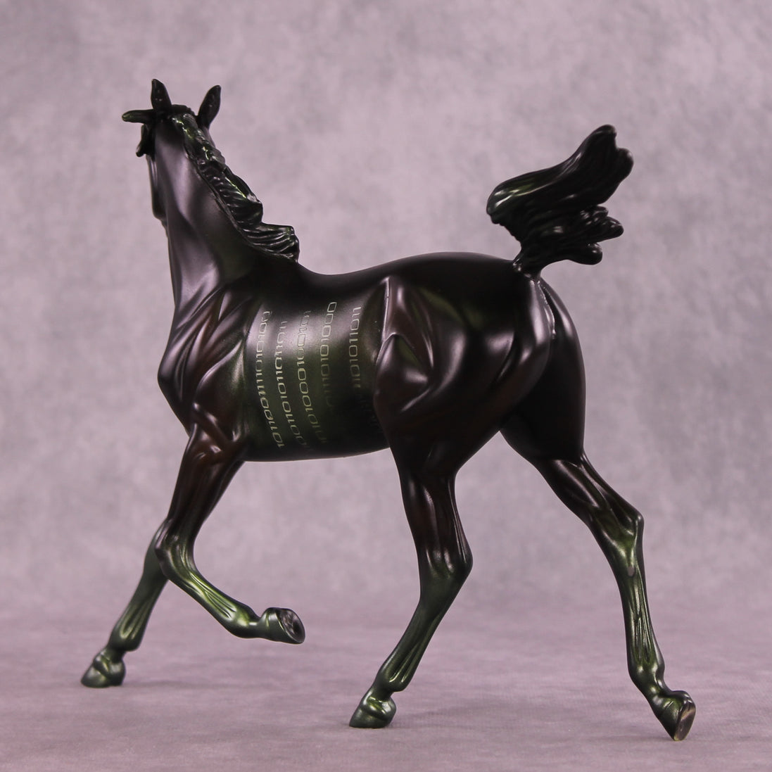 @Code4Lyfe LE-10 FCM Arabian Yearling by Anna Rieck MM25