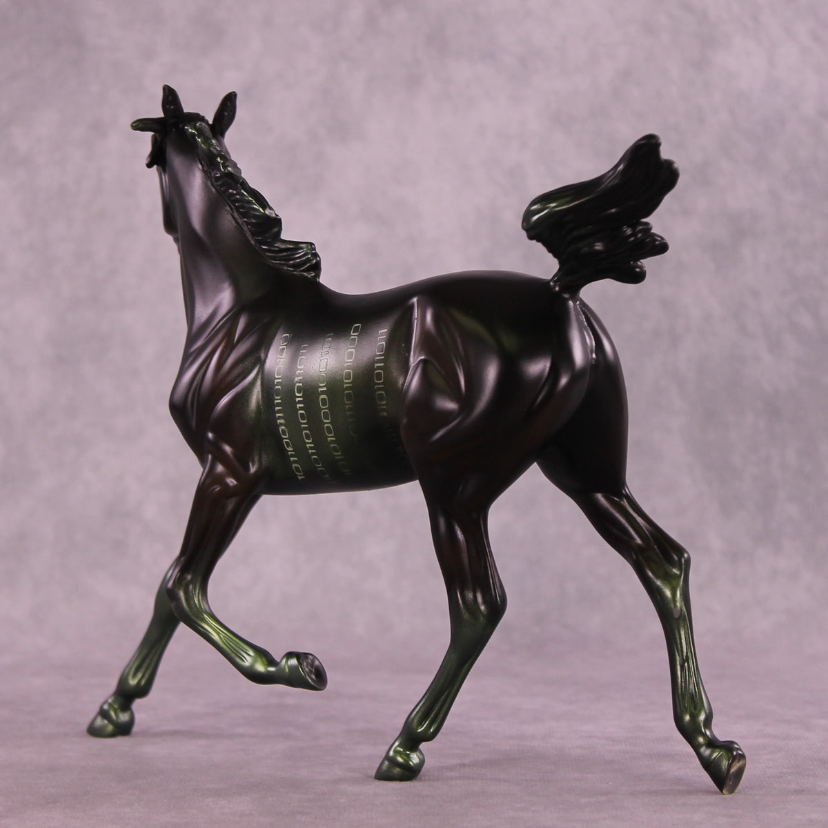 @Code4Lyfe LE-10 FCM Arabian Yearling by Anna Rieck MM25