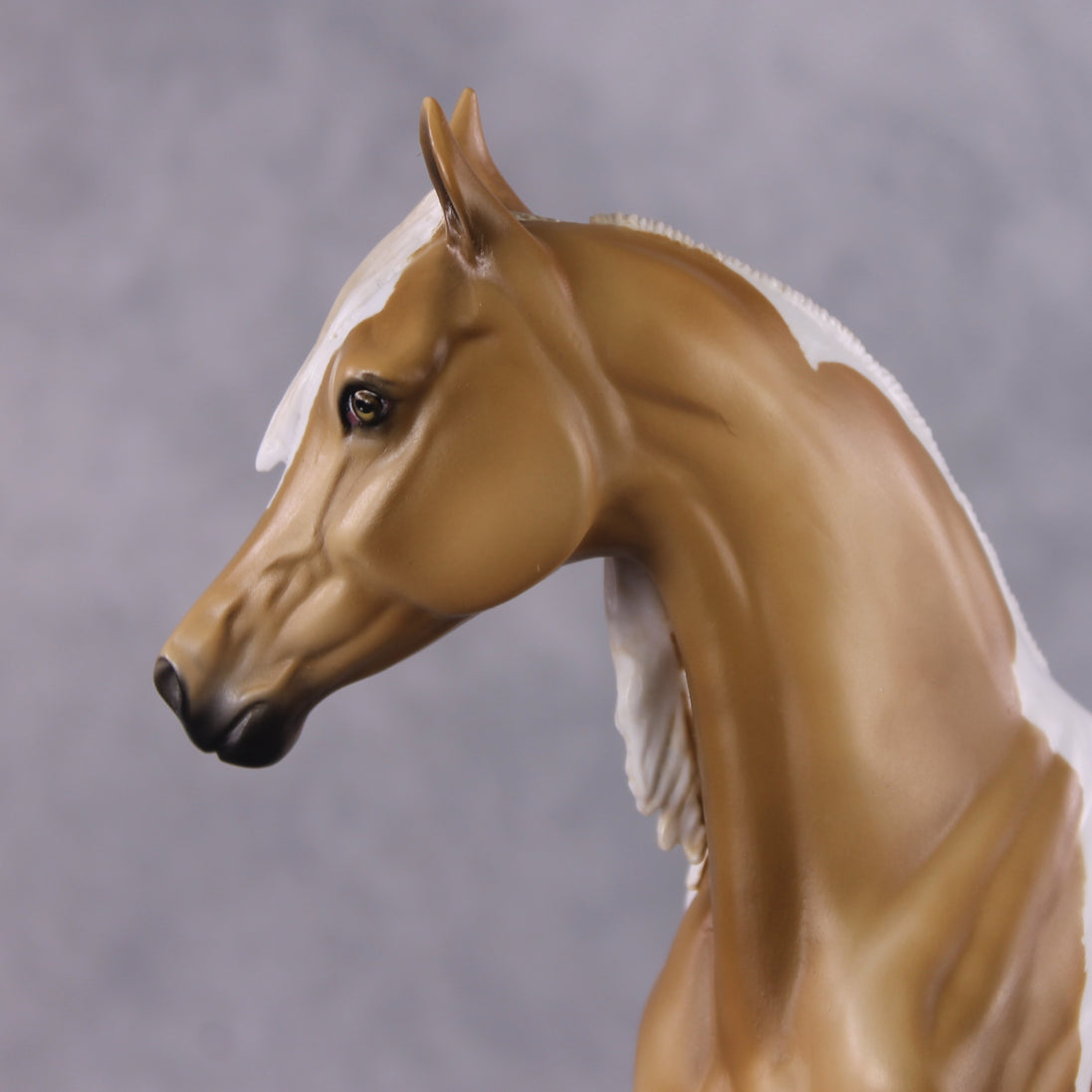 "Zonkil" LE-10 FCM Arab Mare By Julie Keim March Flower Series FS25
