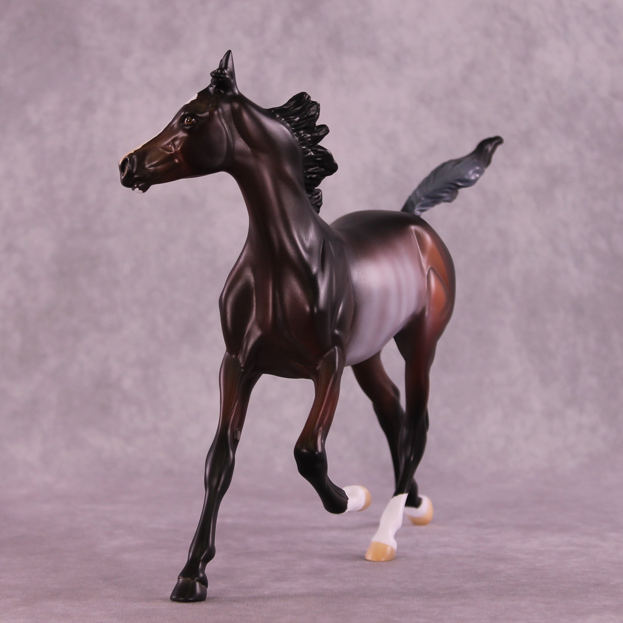 SAMPLE Frankie Clark LE-10 FCM Arabian Yearling by Anna Rieck &amp; Matt Samuels SS0626