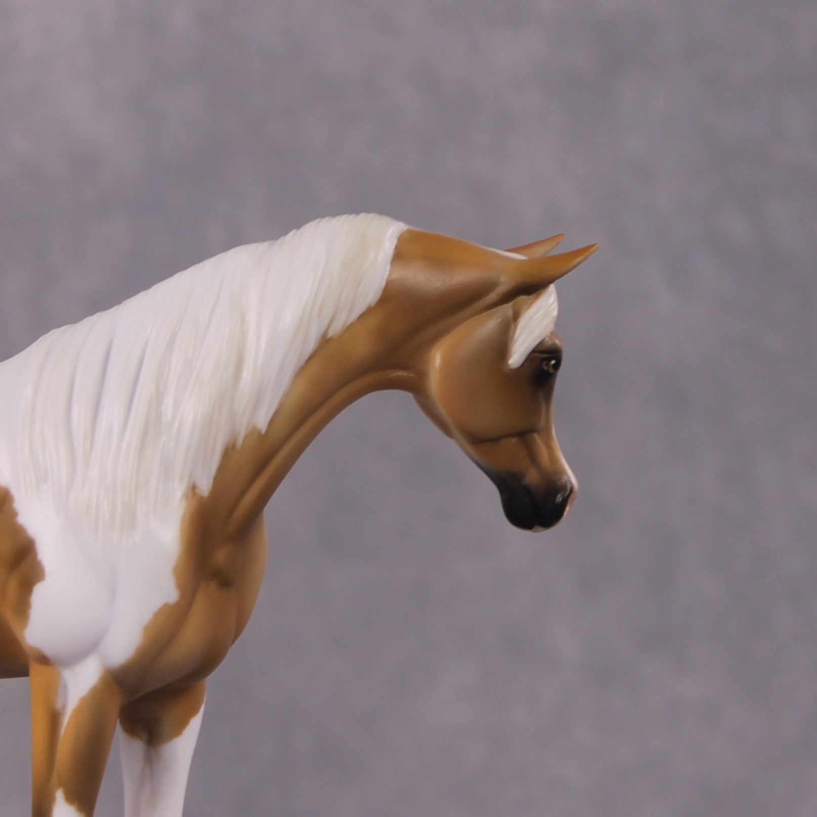 "Paskilja" LE-9 Arabian Pebble By Julie Keim March Flower Series FS25