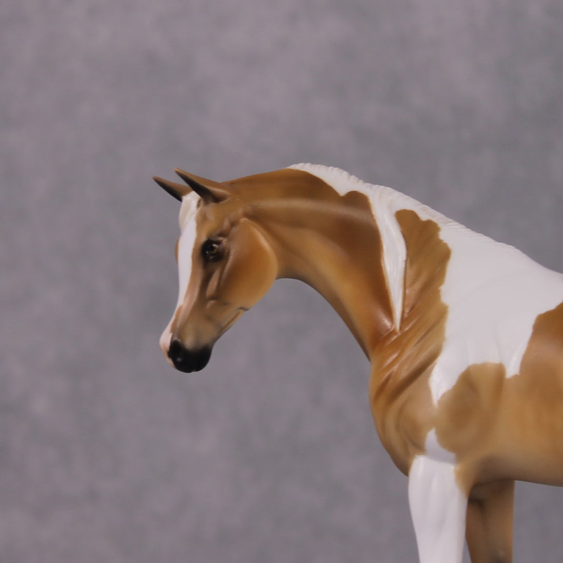 "Paskilja" LE-9 Arabian Pebble By Julie Keim March Flower Series FS25