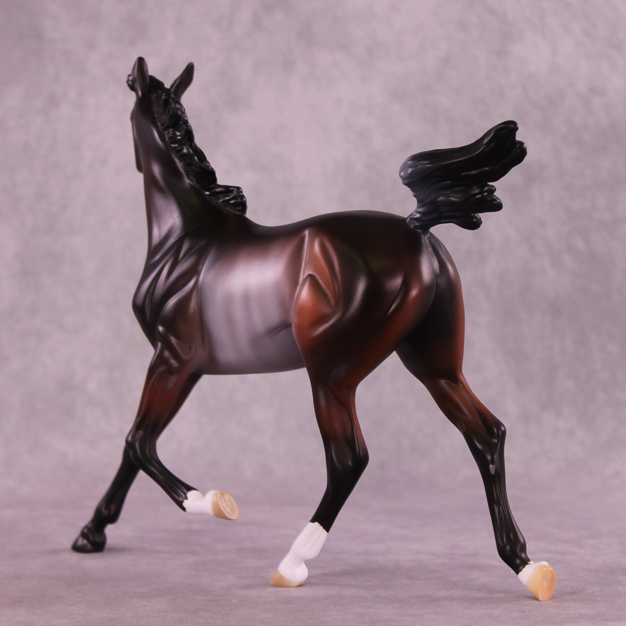 SAMPLE Frankie Clark LE-10 FCM Arabian Yearling by Anna Rieck &amp; Matt Samuels SS0626