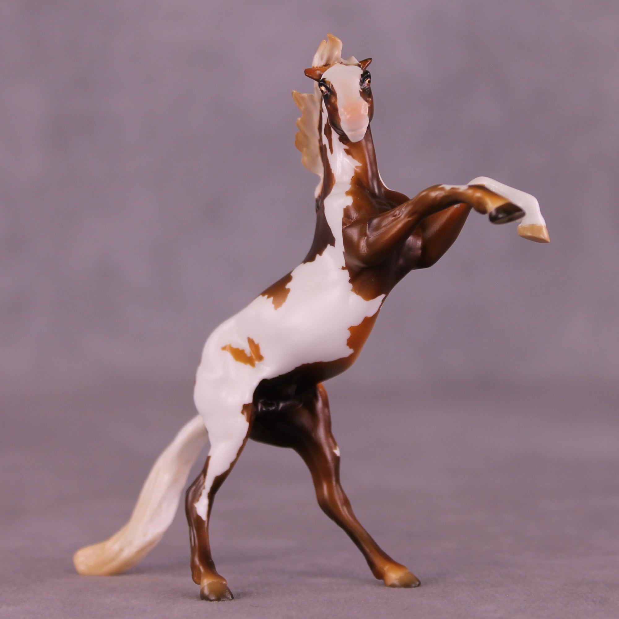 Pumpkin Roll LE-5 Chip Mustang by Kike (Enrique) Duarte November $99 Chips