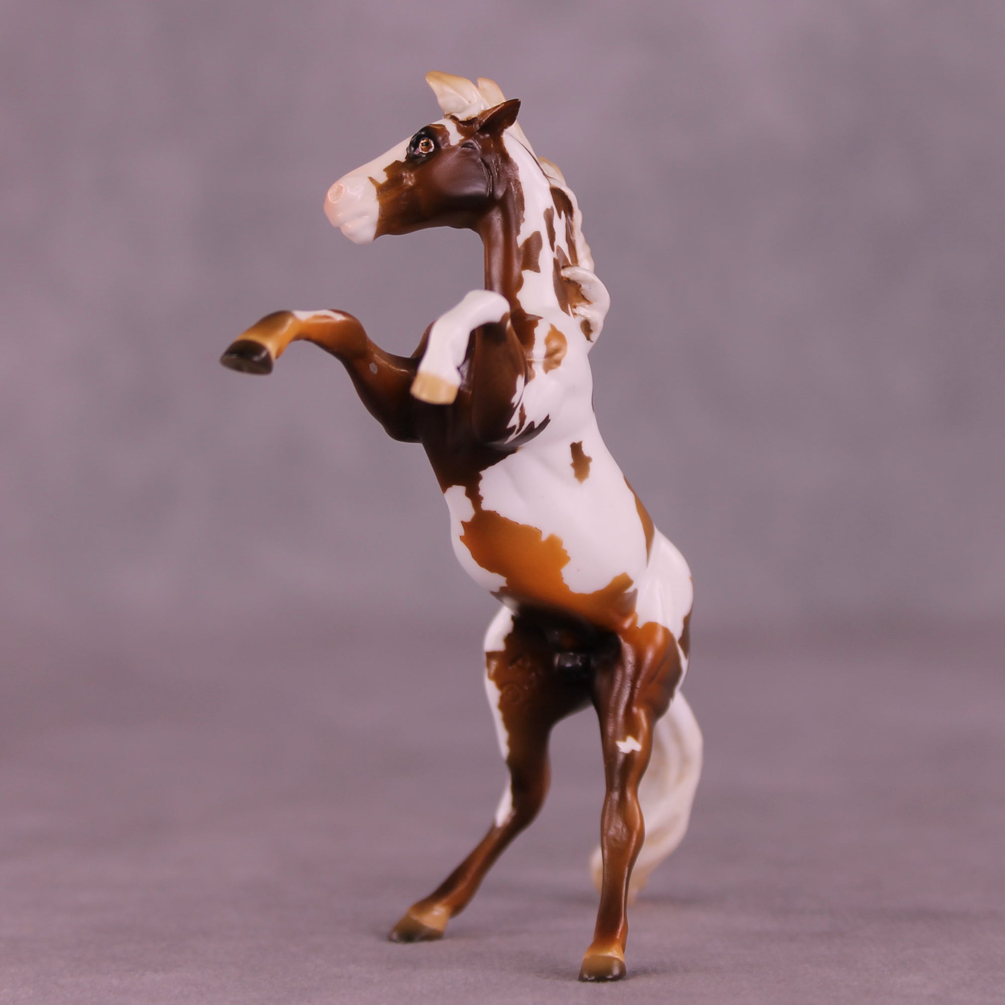 Pumpkin Roll LE-5 Chip Mustang by Kike (Enrique) Duarte November $99 Chips