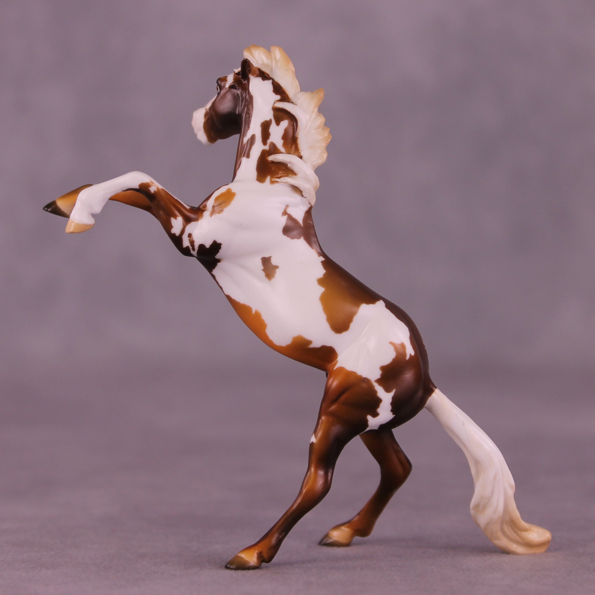 Pumpkin Roll LE-5 Chip Mustang by Kike (Enrique) Duarte November $99 Chips