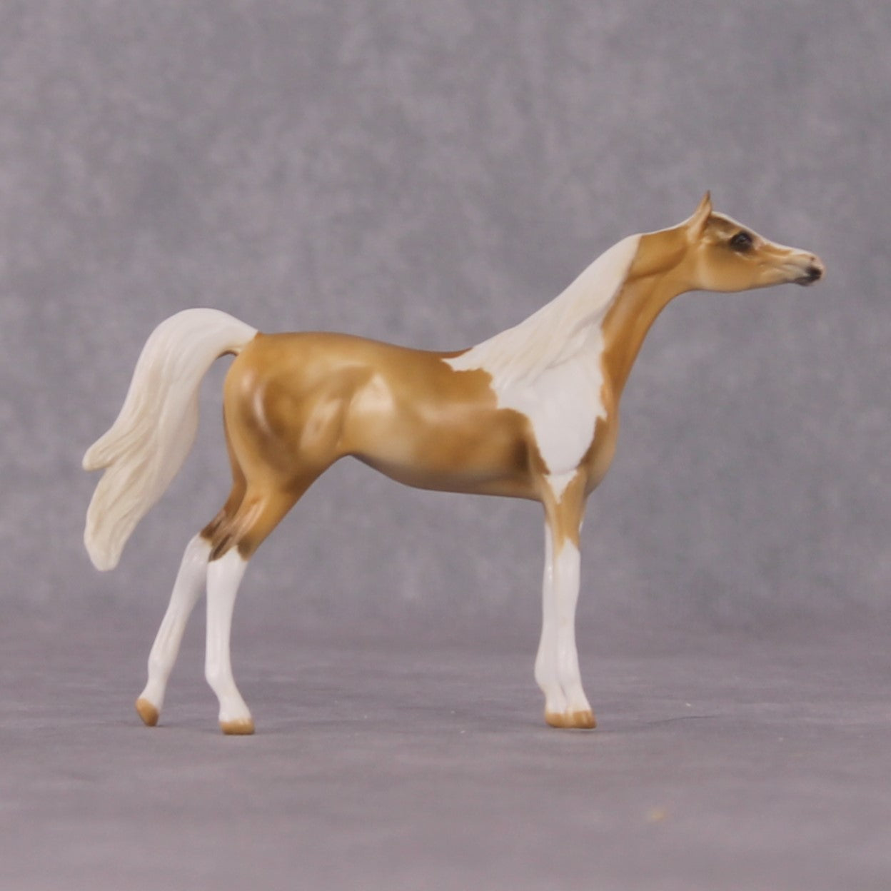 "Nergis" LE-8 Arabian Chip By Julie Keim March Flower Series FS25