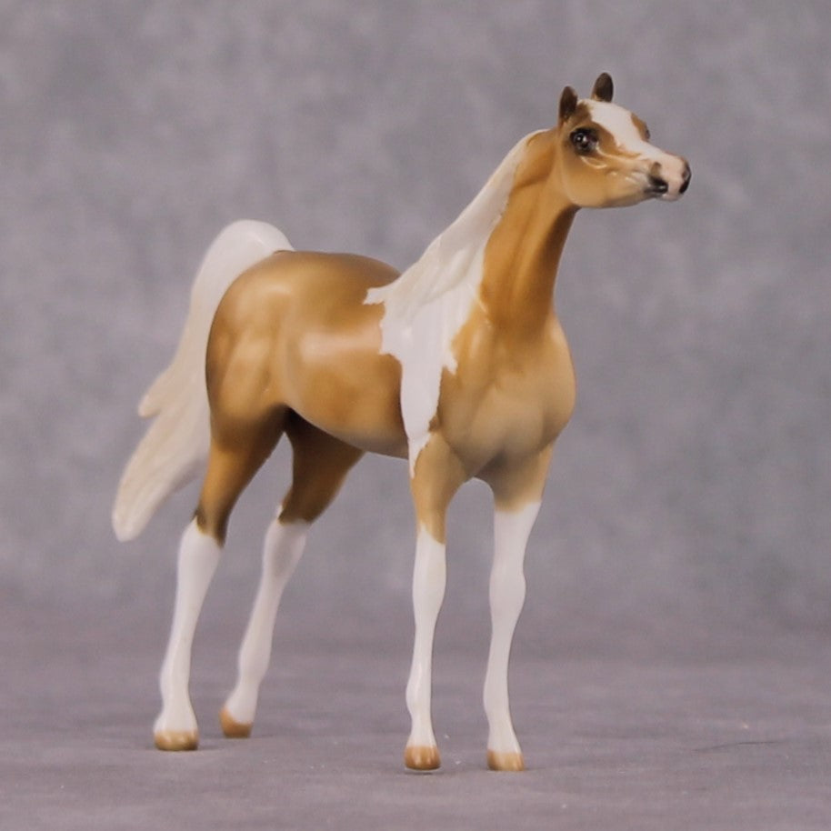 "Nergis" LE-8 Arabian Chip By Julie Keim March Flower Series FS25