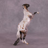 &quot;Constellation&quot; OOAK Rearing Pebble by Anna Rieck EQ25