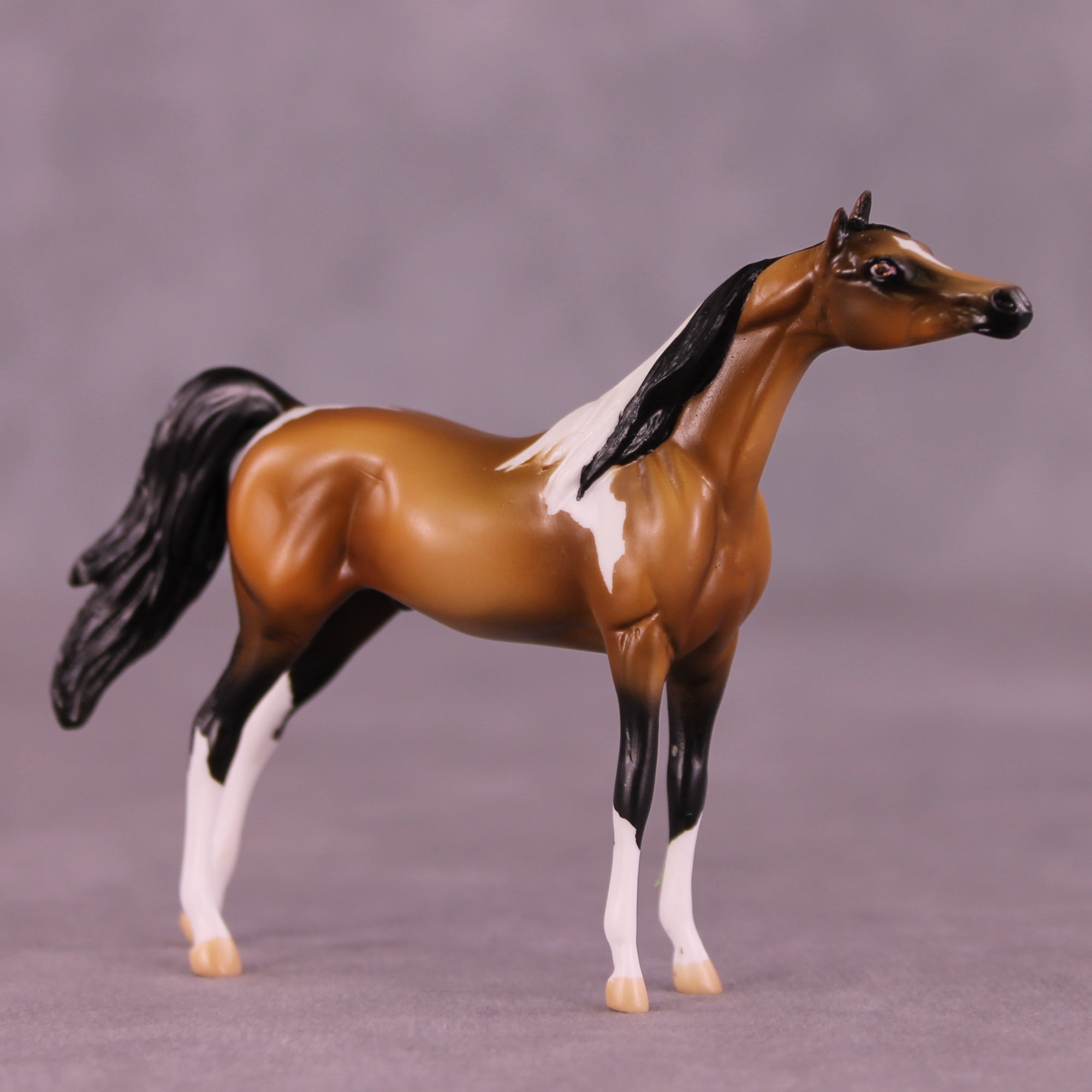 Pecan Pie LE-5 Chip Arabian by Kike (Enrique) Duarte November $99 Chips