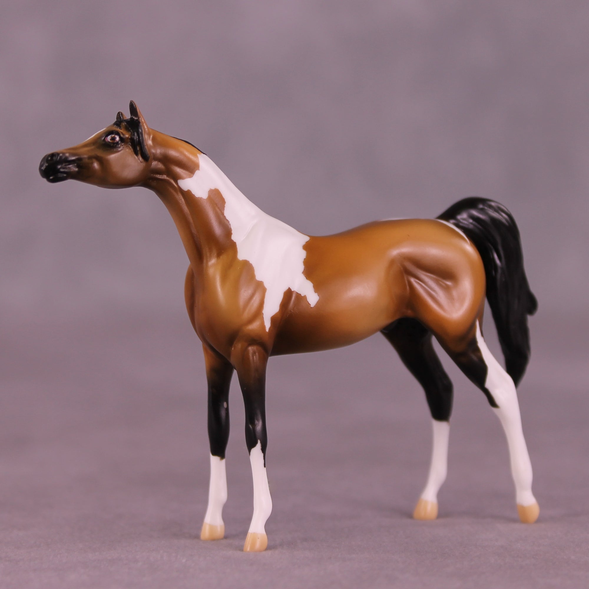 Pecan Pie LE-5 Chip Arabian by Kike (Enrique) Duarte November $99 Chips