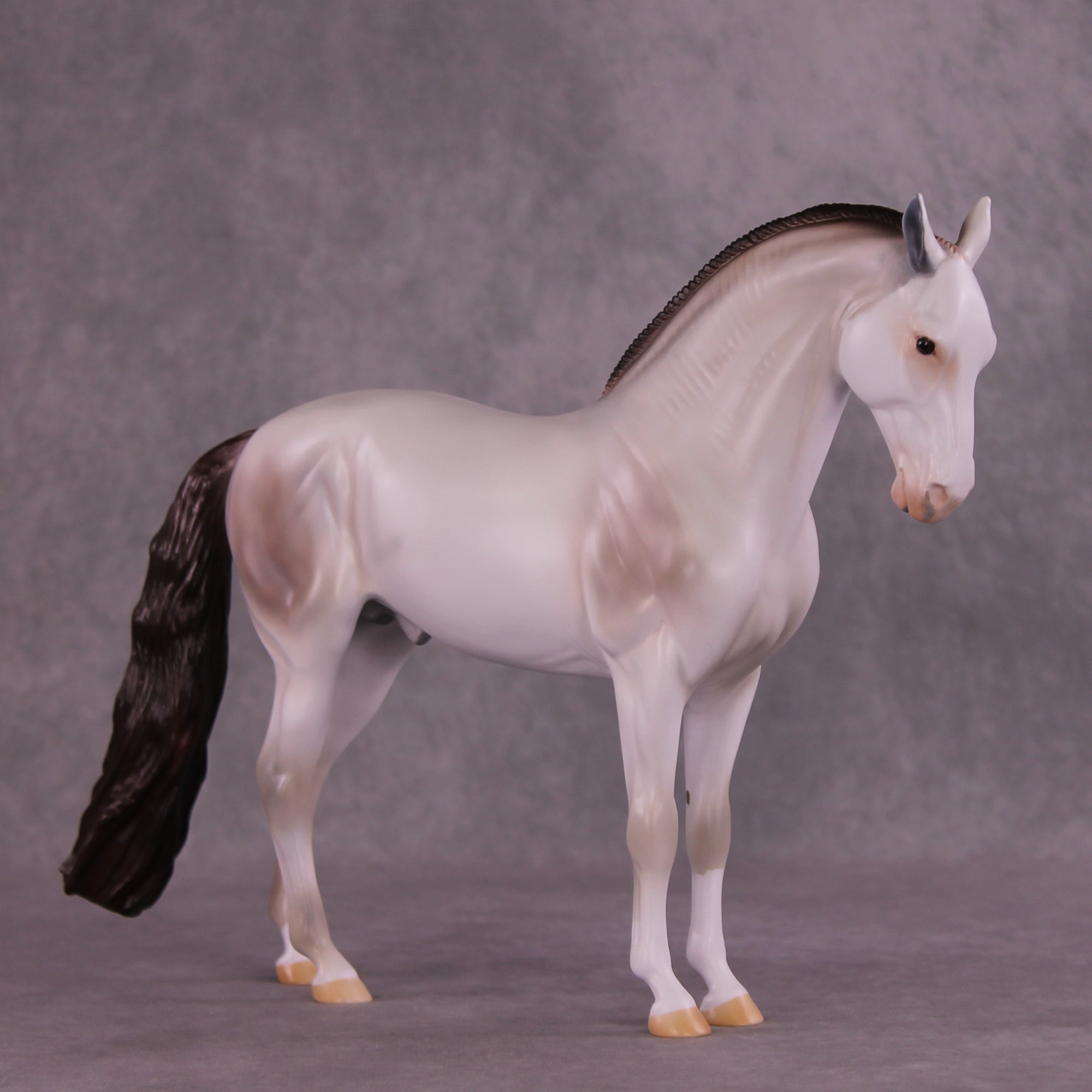 Ambrose OOAK FCM Andalusian by Anna Rieck DDOOAKs25