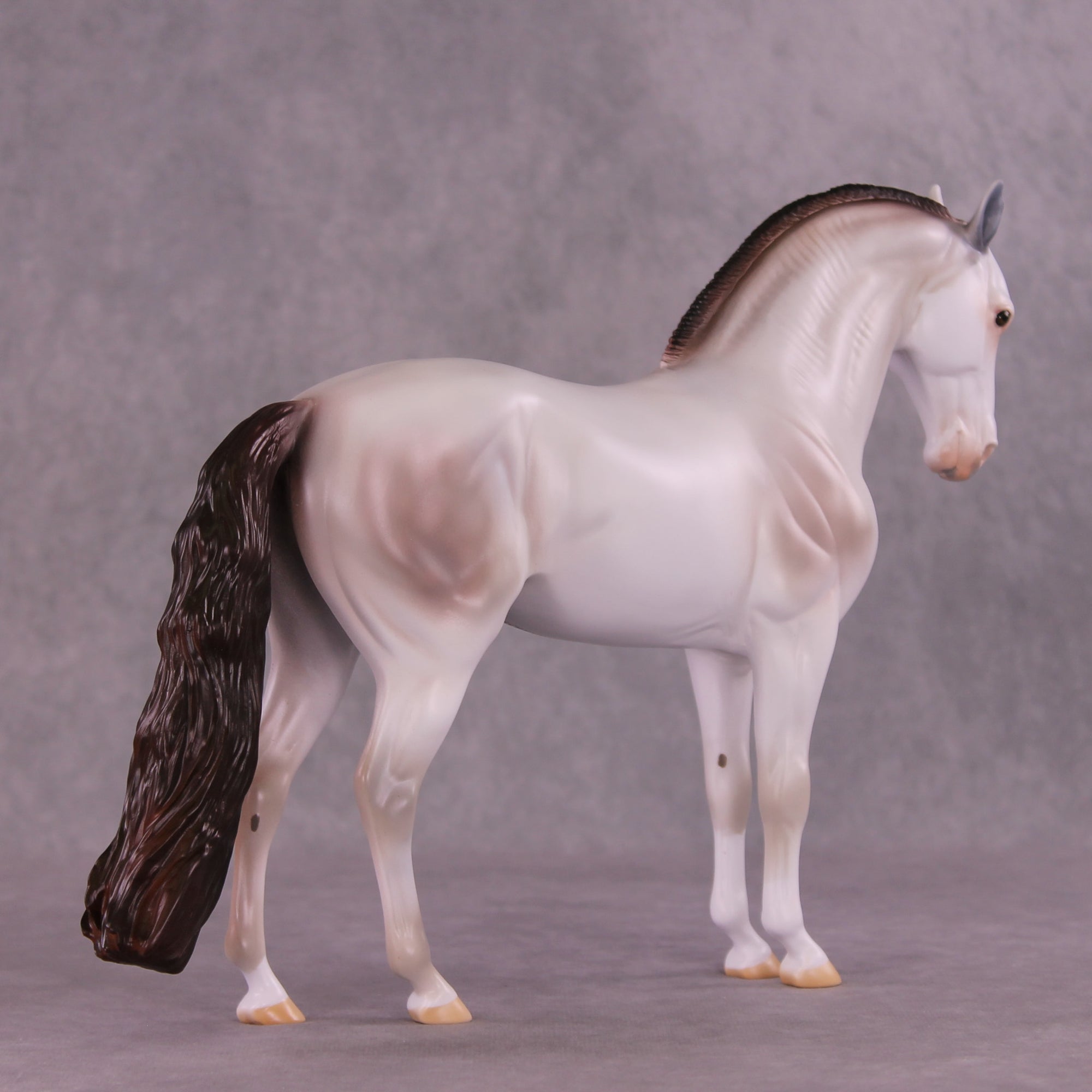 Ambrose OOAK FCM Andalusian by Anna Rieck DDOOAKs25