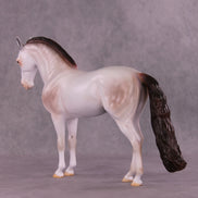 Ambrose OOAK FCM Andalusian by Anna Rieck DDOOAKs25