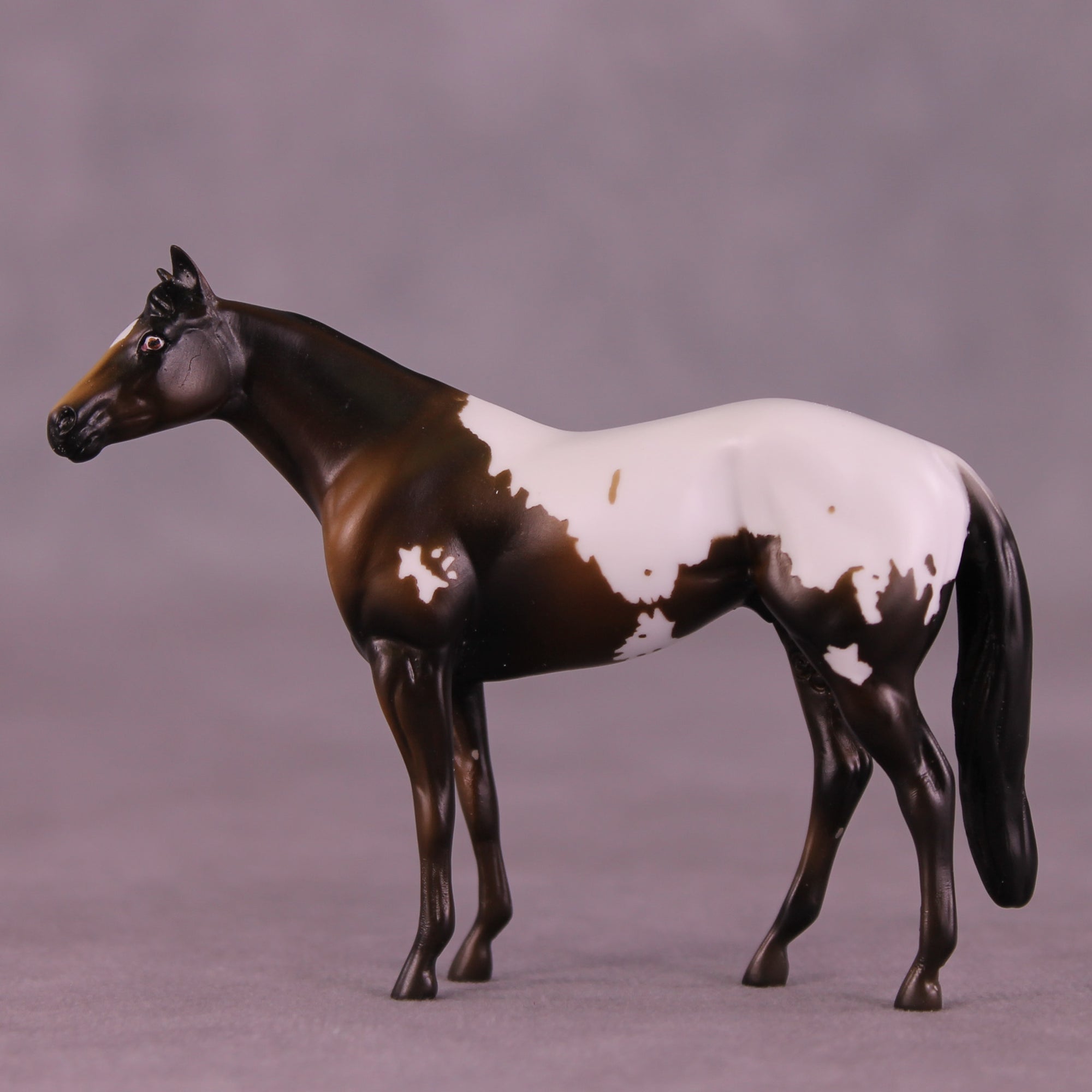 Molasses Cookie LE-5 Chip Stock Horse by Kike (Enrique) Duarte November $99 Chips