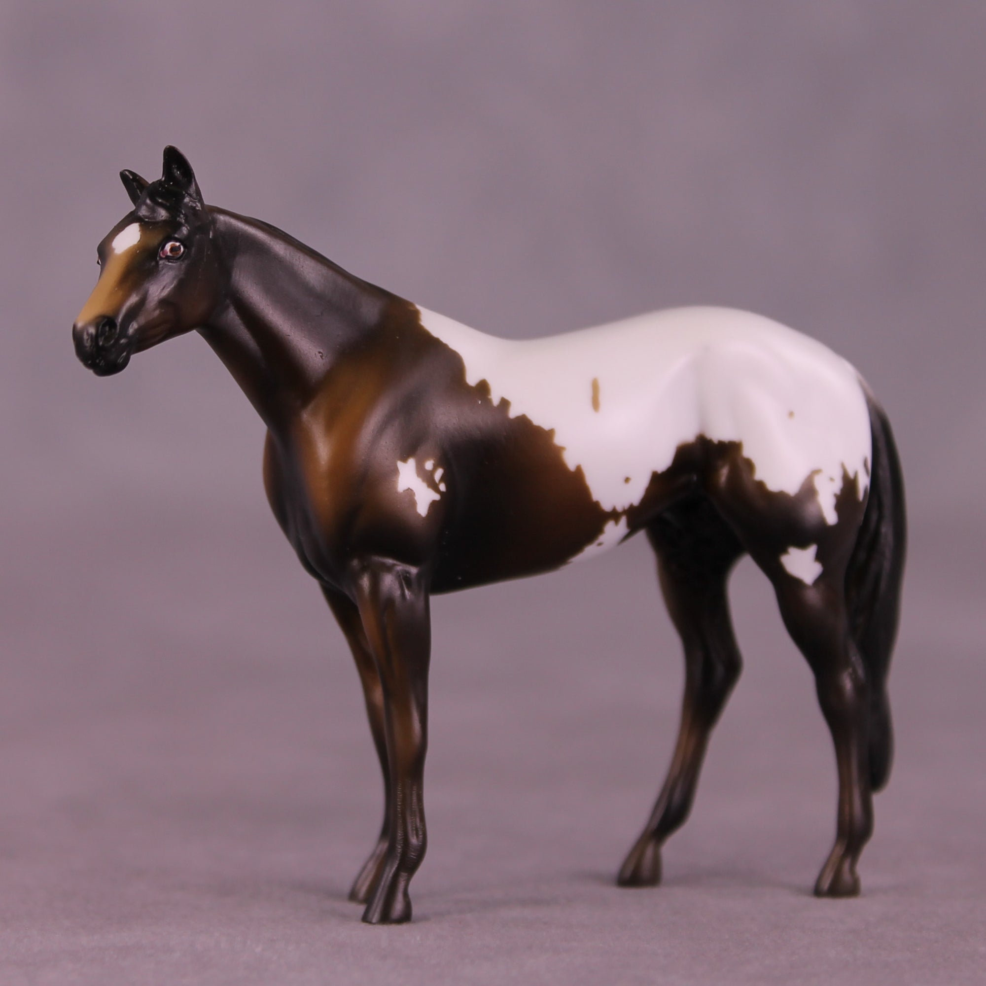 Molasses Cookie LE-5 Chip Stock Horse by Kike (Enrique) Duarte November $99 Chips