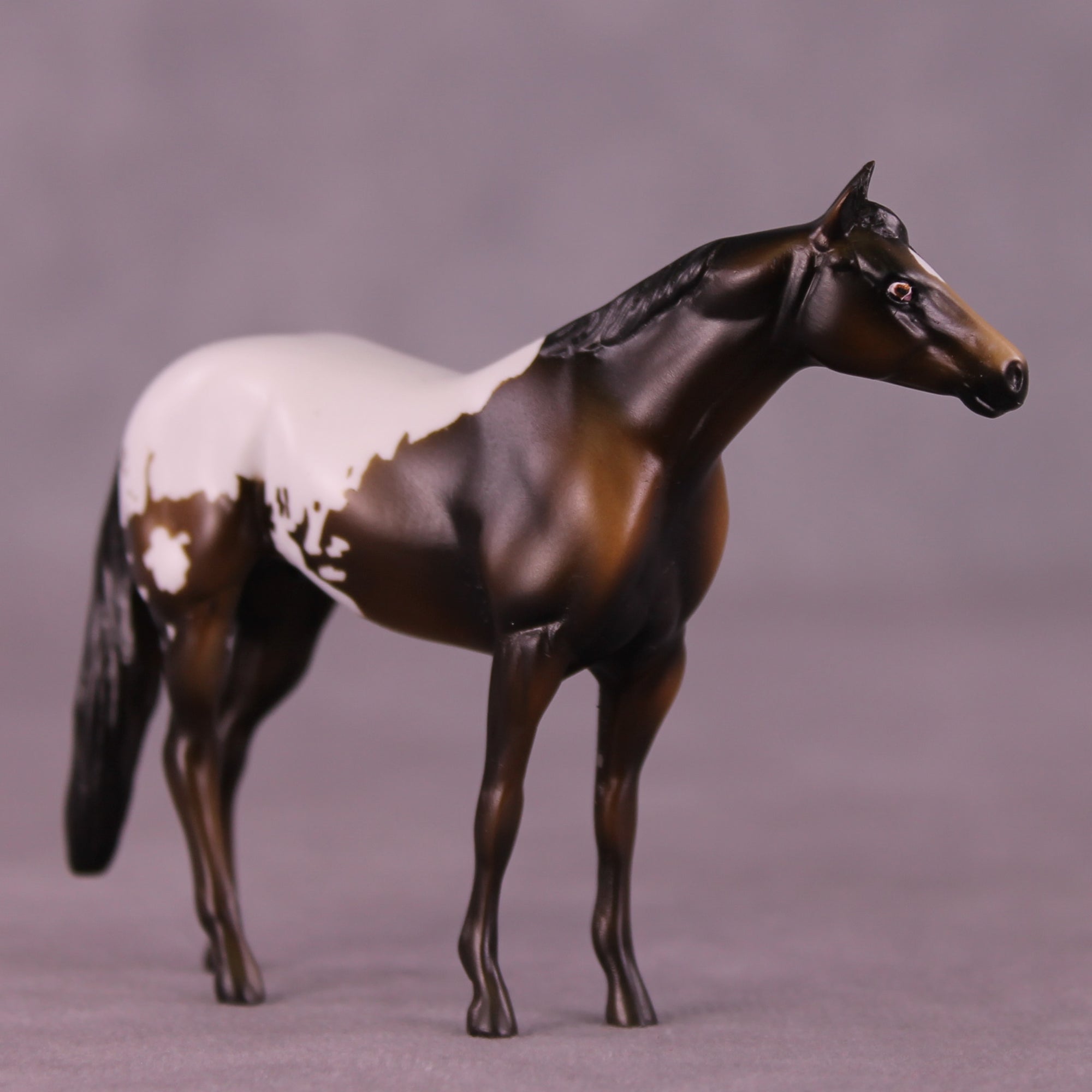 Molasses Cookie LE-5 Chip Stock Horse by Kike (Enrique) Duarte November $99 Chips