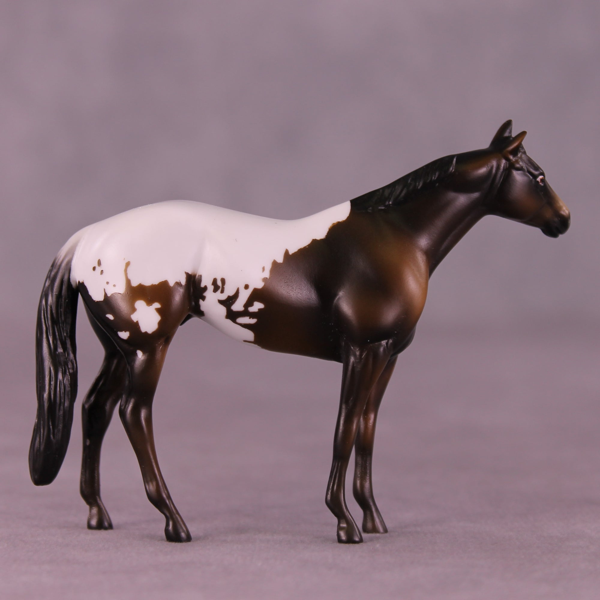 Molasses Cookie LE-5 Chip Stock Horse by Kike (Enrique) Duarte November $99 Chips