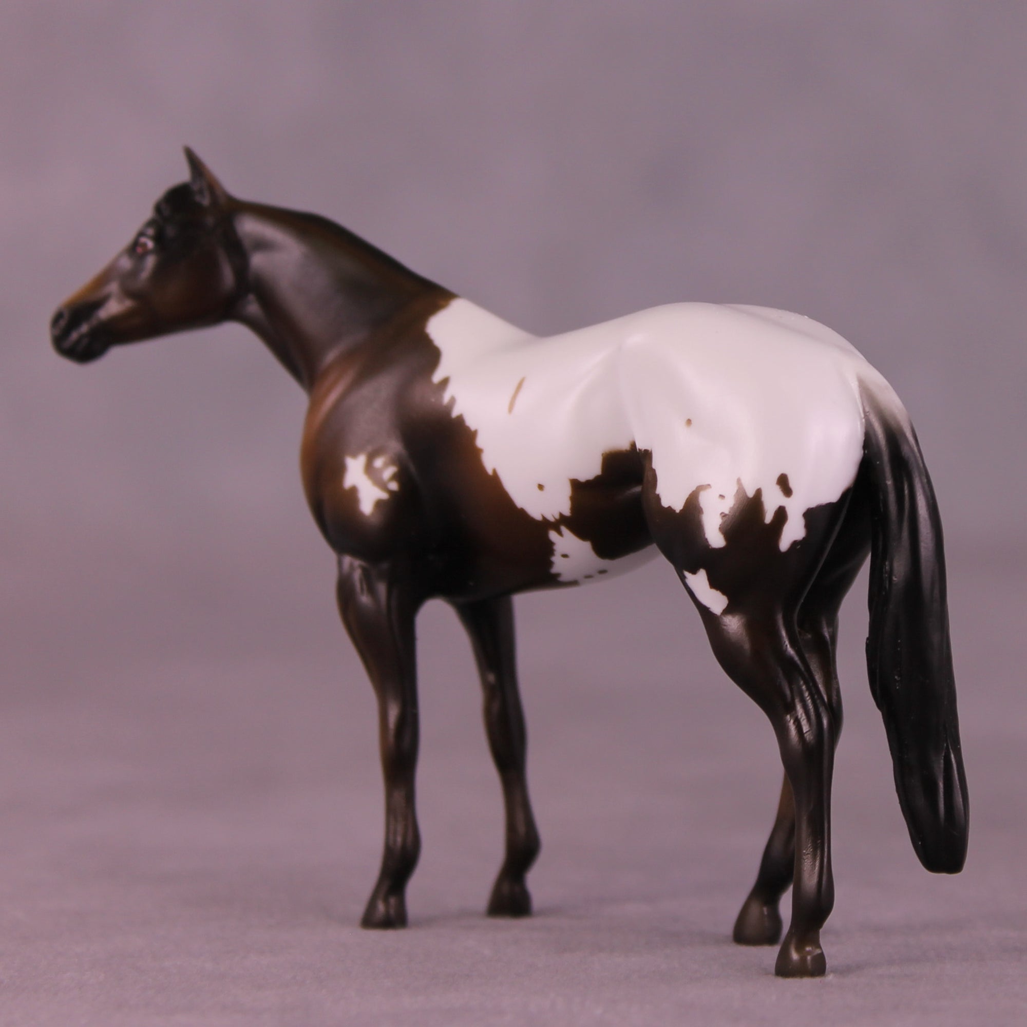 Molasses Cookie LE-5 Chip Stock Horse by Kike (Enrique) Duarte November $99 Chips