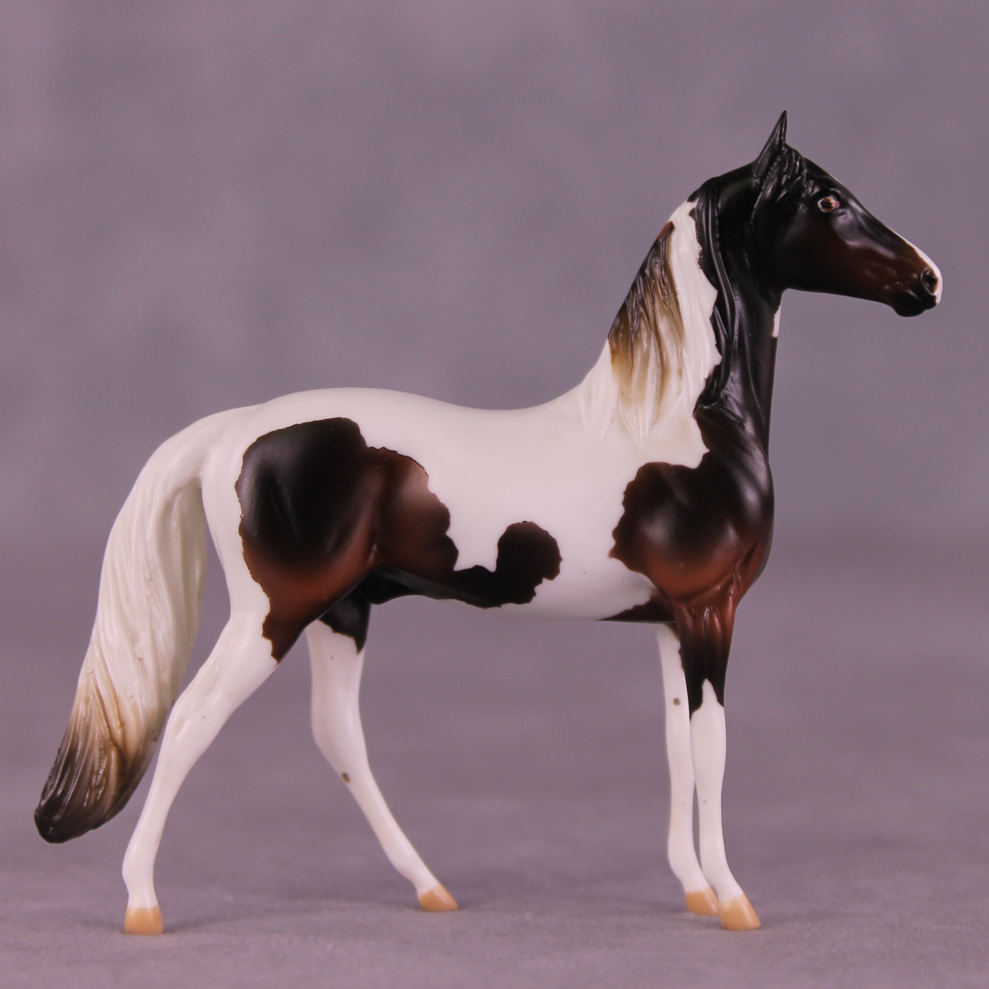 Apple Crisp LE-5 Chip Morgan by Kike (Enrique) Duarte November $99 Chips