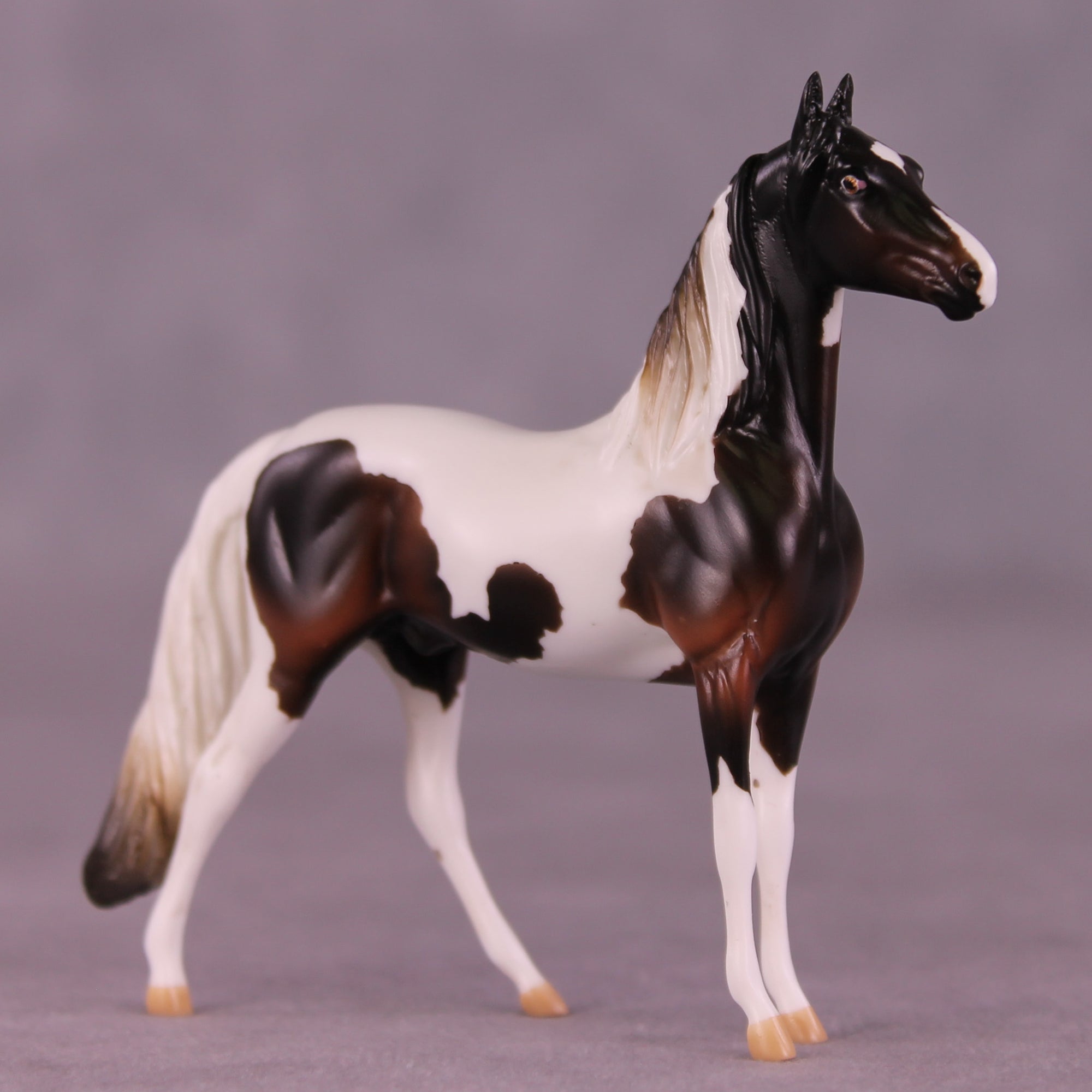 Apple Crisp LE-5 Chip Morgan by Kike (Enrique) Duarte November $99 Chips