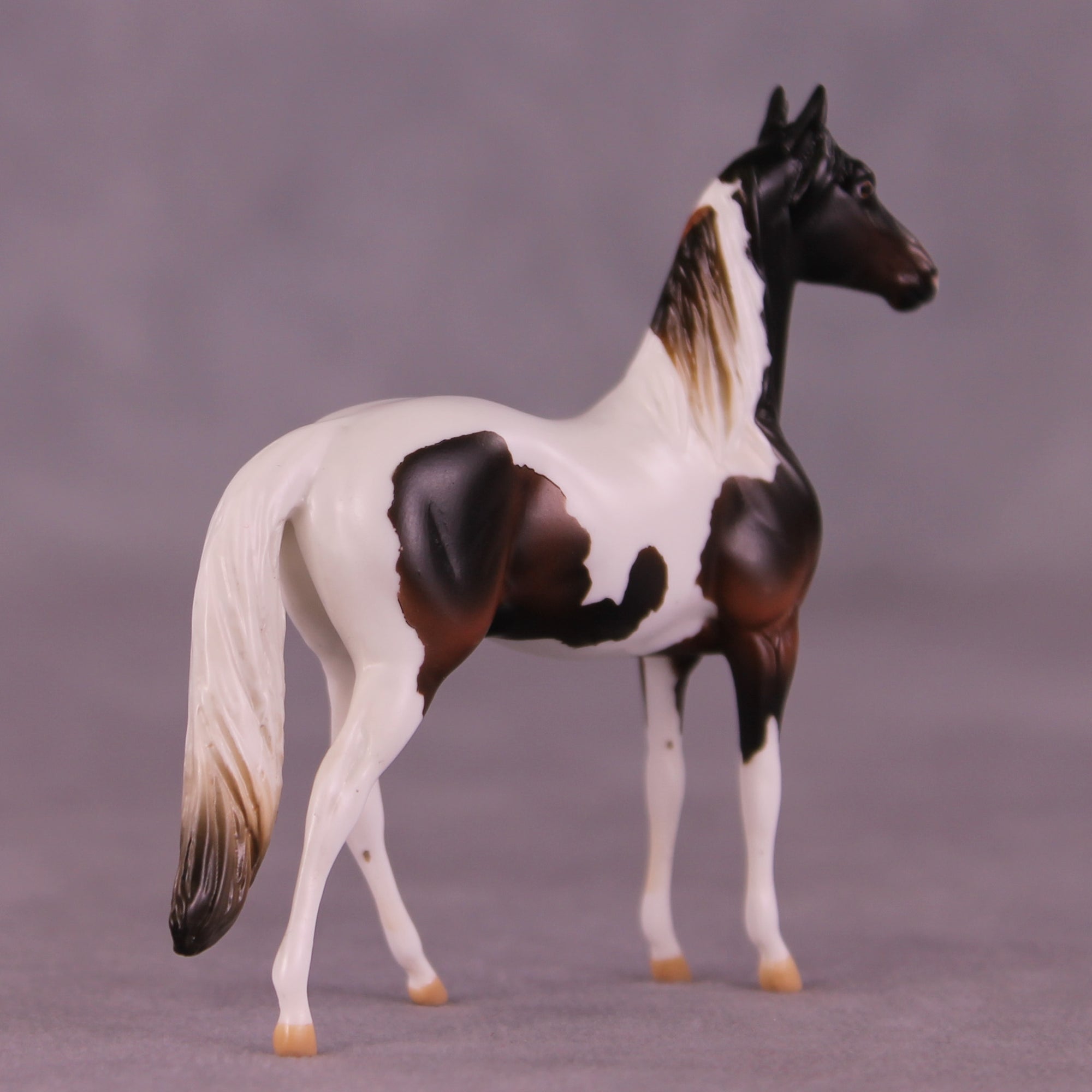 Apple Crisp LE-5 Chip Morgan by Kike (Enrique) Duarte November $99 Chips