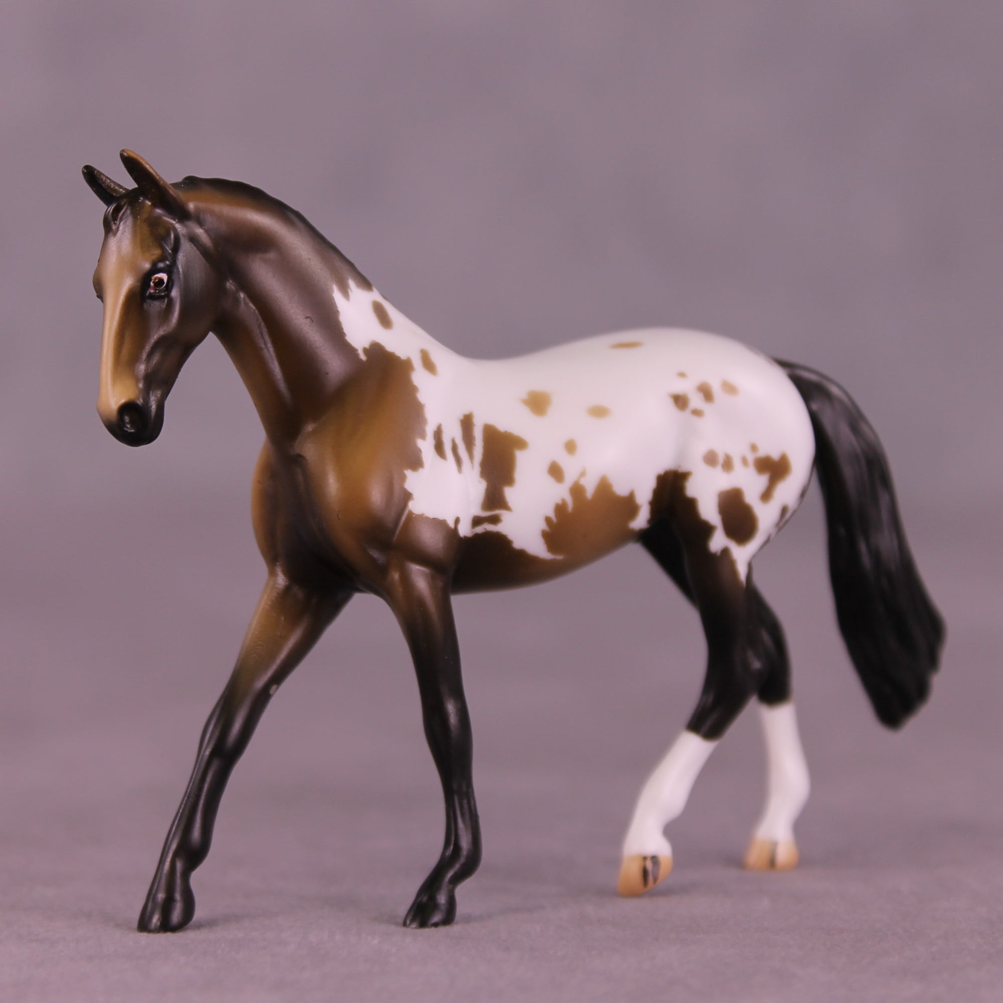 Maple Doughnut LE-5 Chip Warmblood by Kike (Enrique) Duarte November $99 Chips