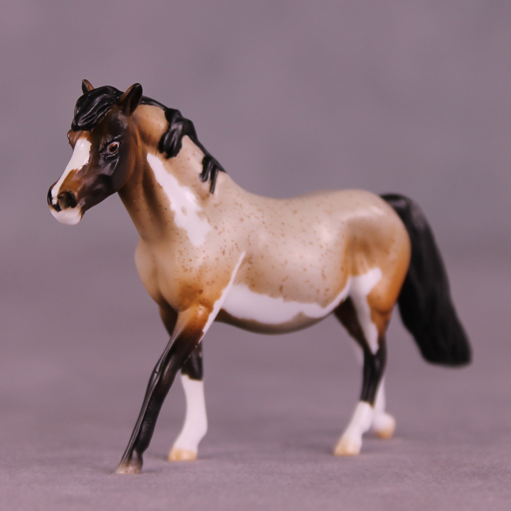 Snickerdoodle LE-4 Chip Pony by Kike (Enrique) Duarte November $99 Chips