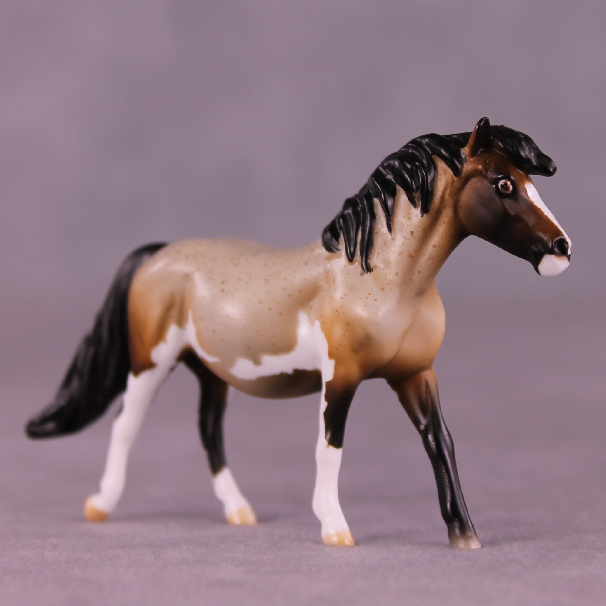 Snickerdoodle LE-4 Chip Pony by Kike (Enrique) Duarte November $99 Chips