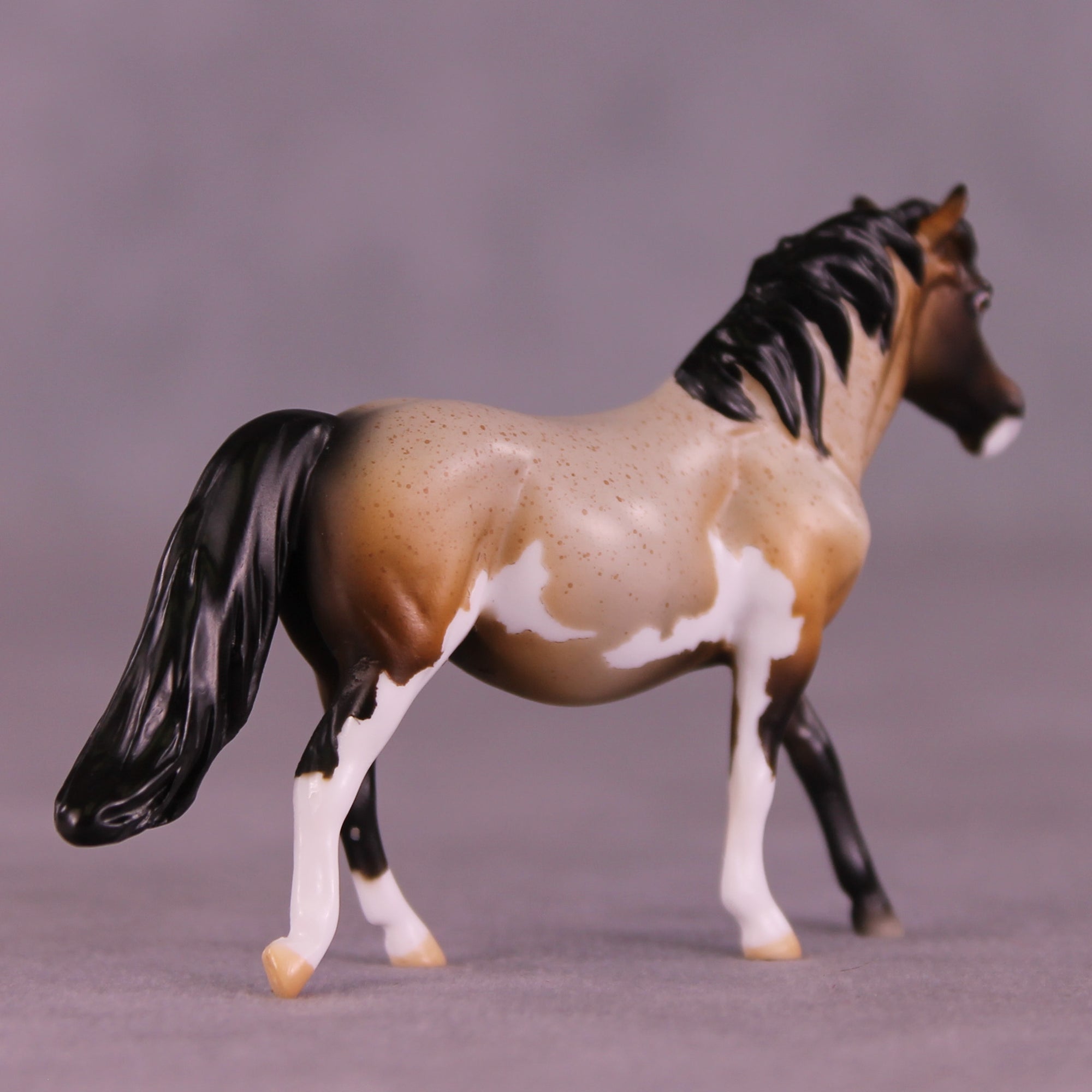 Snickerdoodle LE-4 Chip Pony by Kike (Enrique) Duarte November $99 Chips