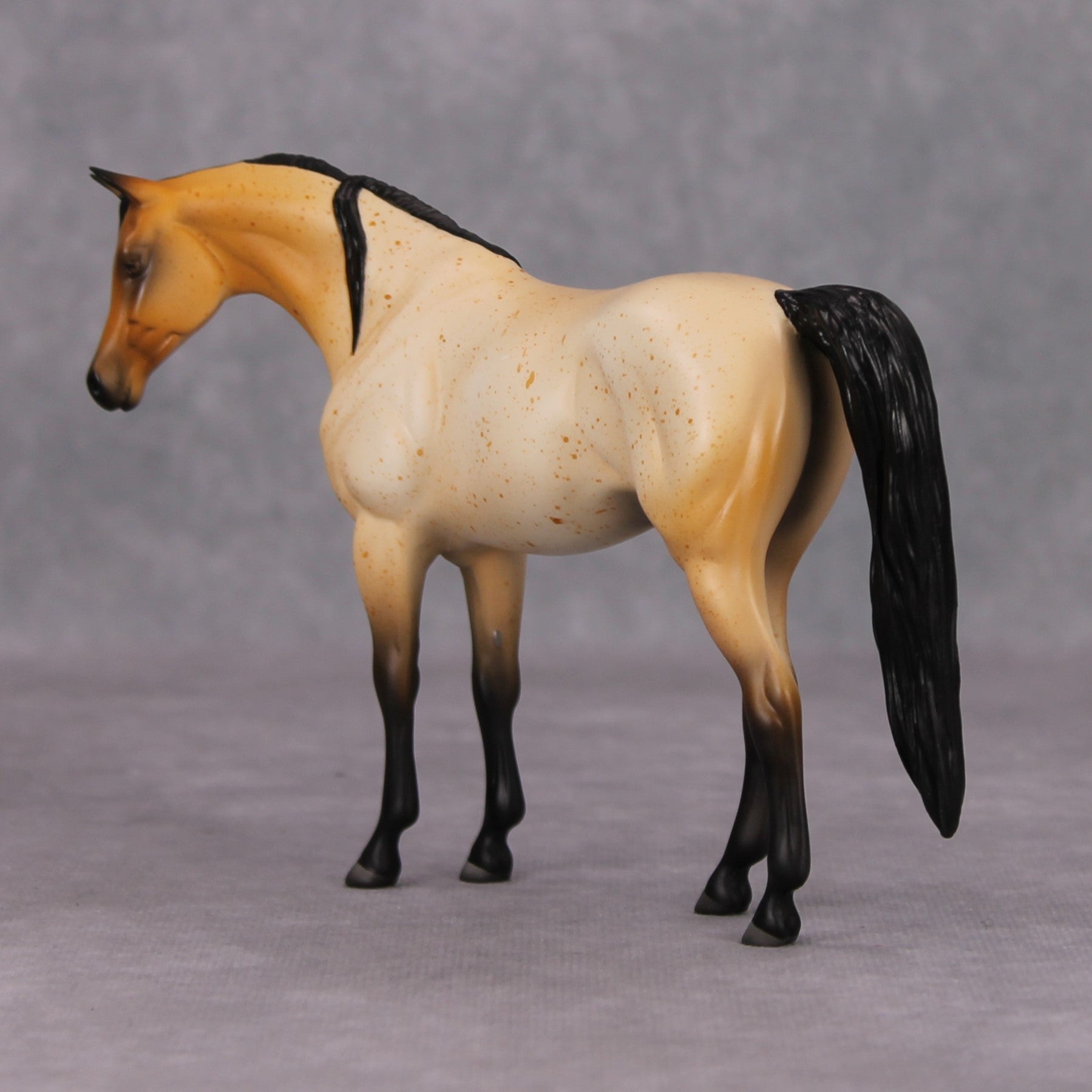 Arabian Pebble/Arabian or Andalusian Chip  Mini Loyalty Club Release - November Release Mini24