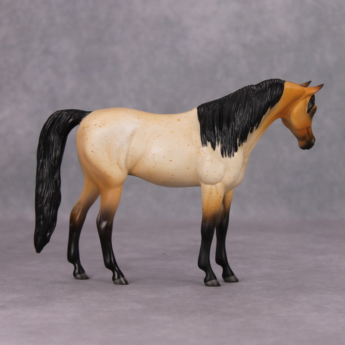 Arabian Pebble/Arabian or Andalusian Chip  Mini Loyalty Club Release - November Release Mini24