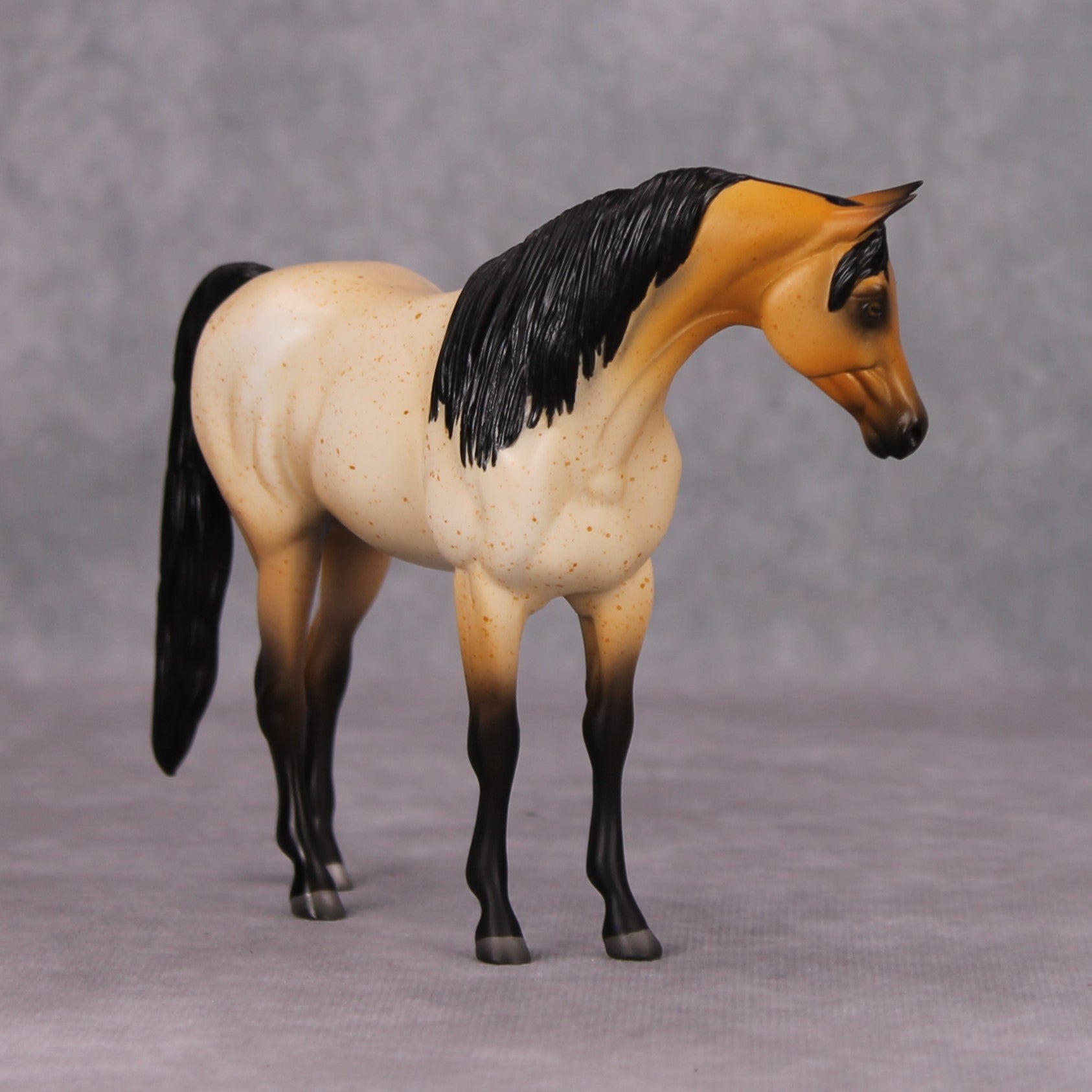 Arabian Pebble/Arabian or Andalusian Chip  Mini Loyalty Club Release - November Release Mini24