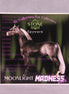 Moonlight Madness Spyware Sticker 2025 Limited Edition