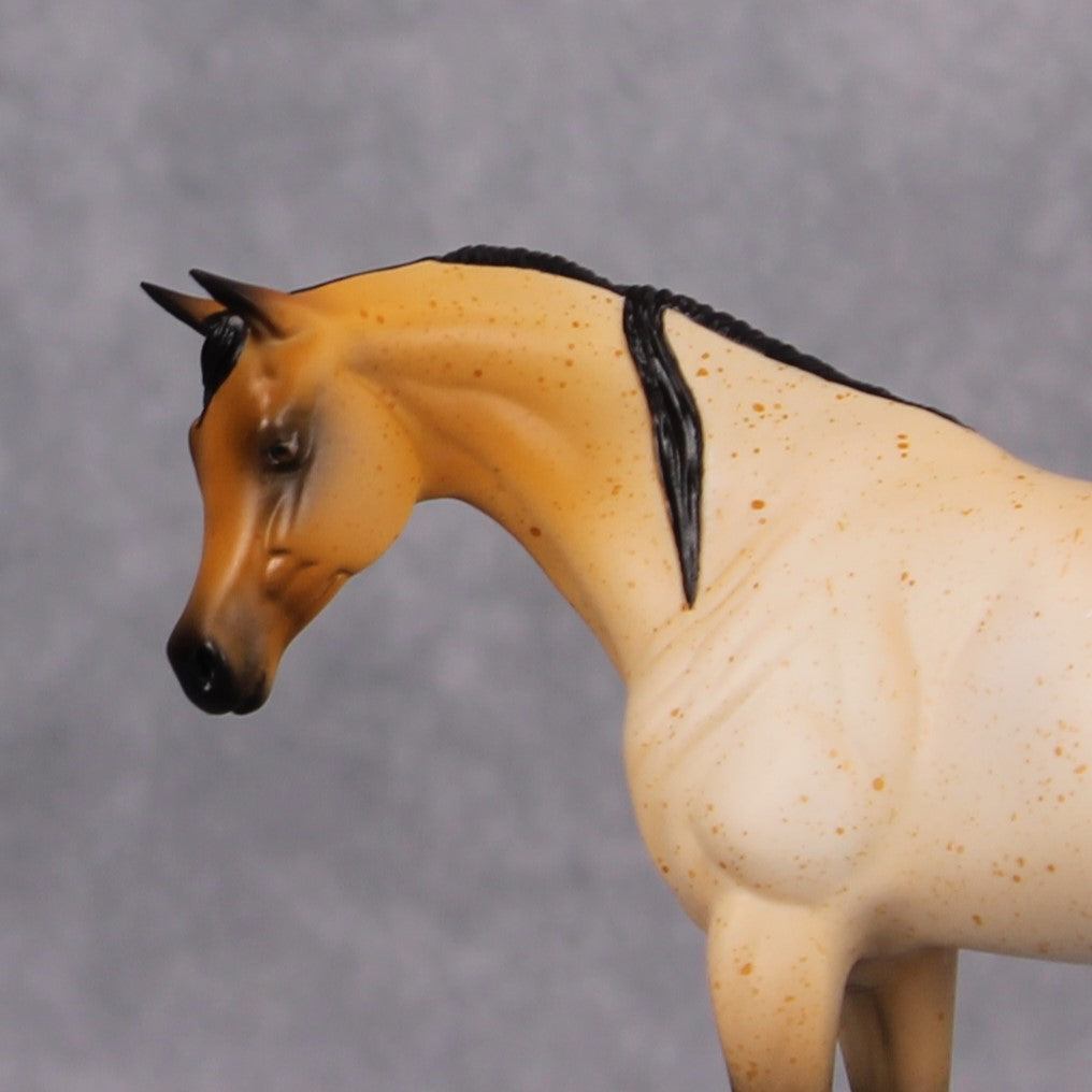 Arabian Pebble/Arabian or Andalusian Chip  Mini Loyalty Club Release - November Release Mini24