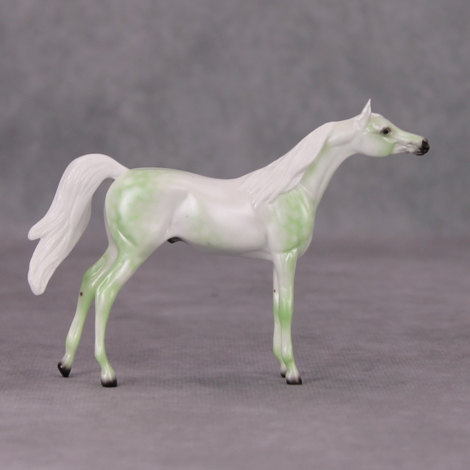 Arabian Pebble/Arabian or Andalusian Chip  Mini Loyalty Club Release - November Release Mini24